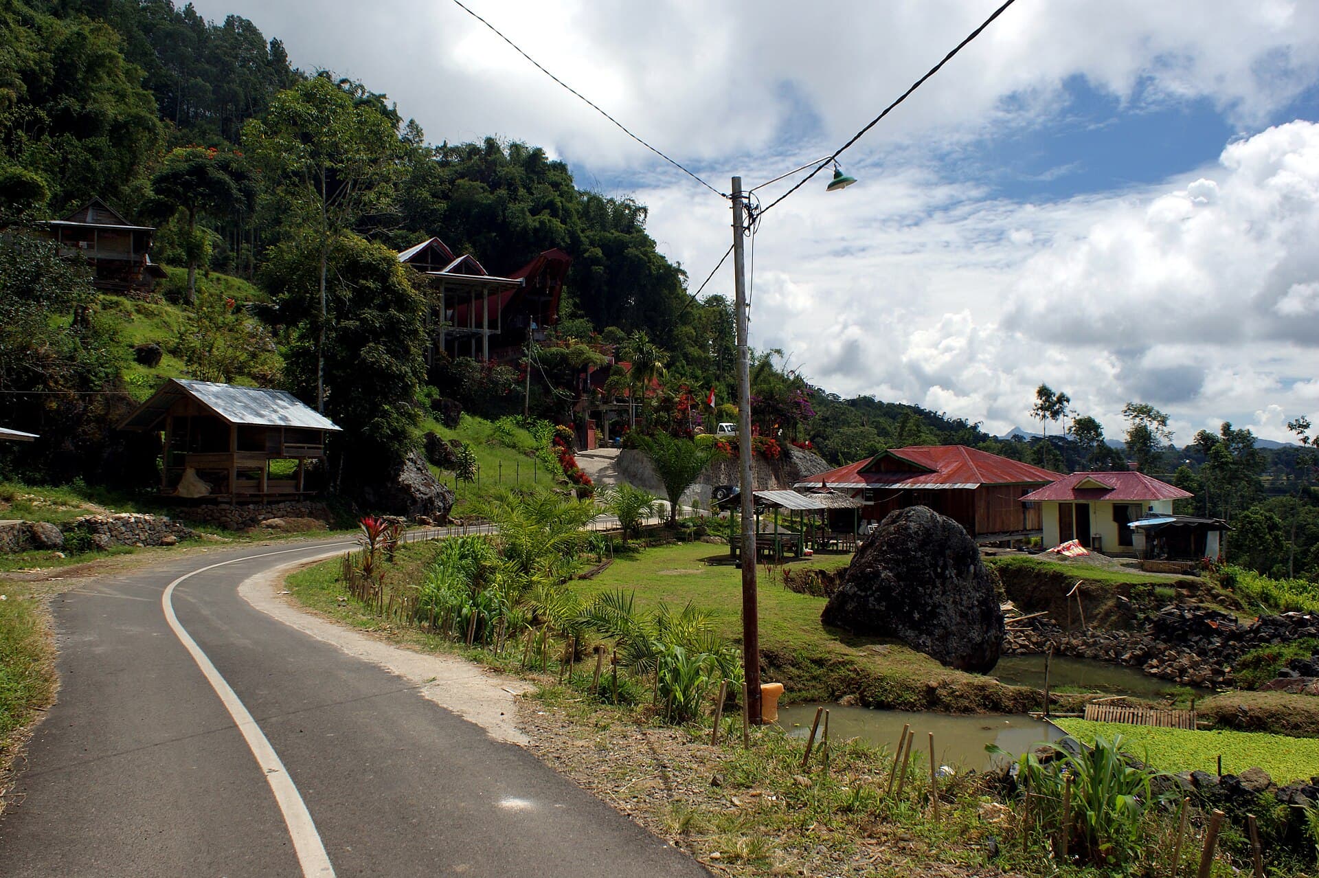 Batutumonga rice terraces