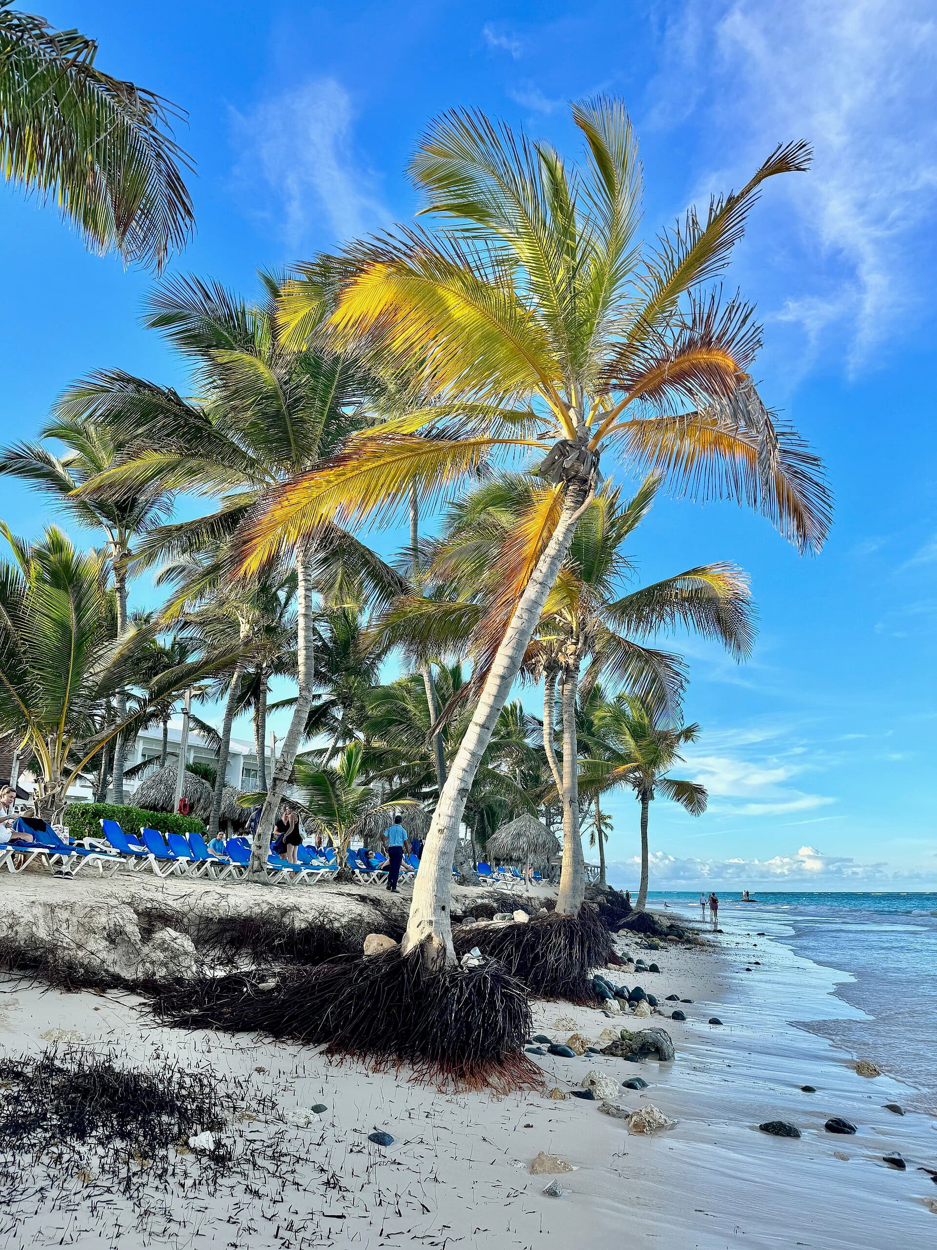 Bavaro beach