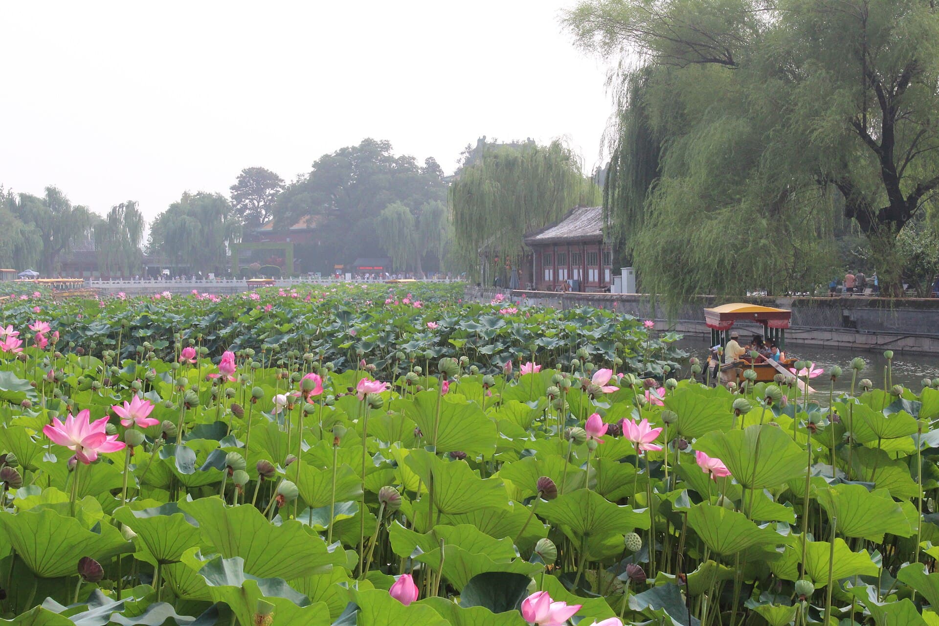 Beihai Park