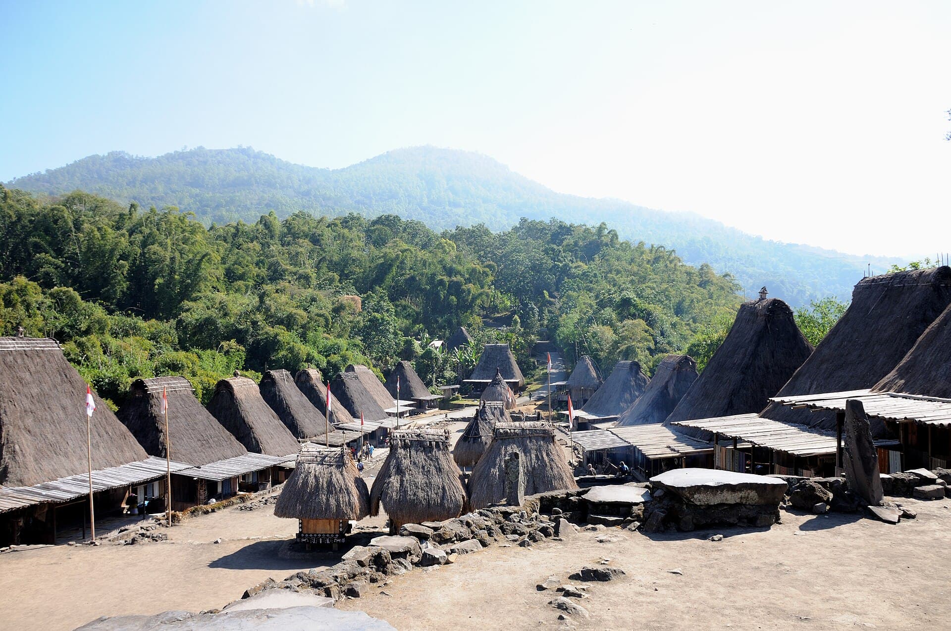 Bena Traditional Village