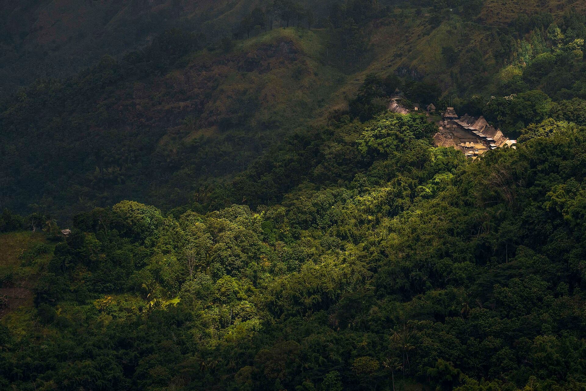 Bena traditional village