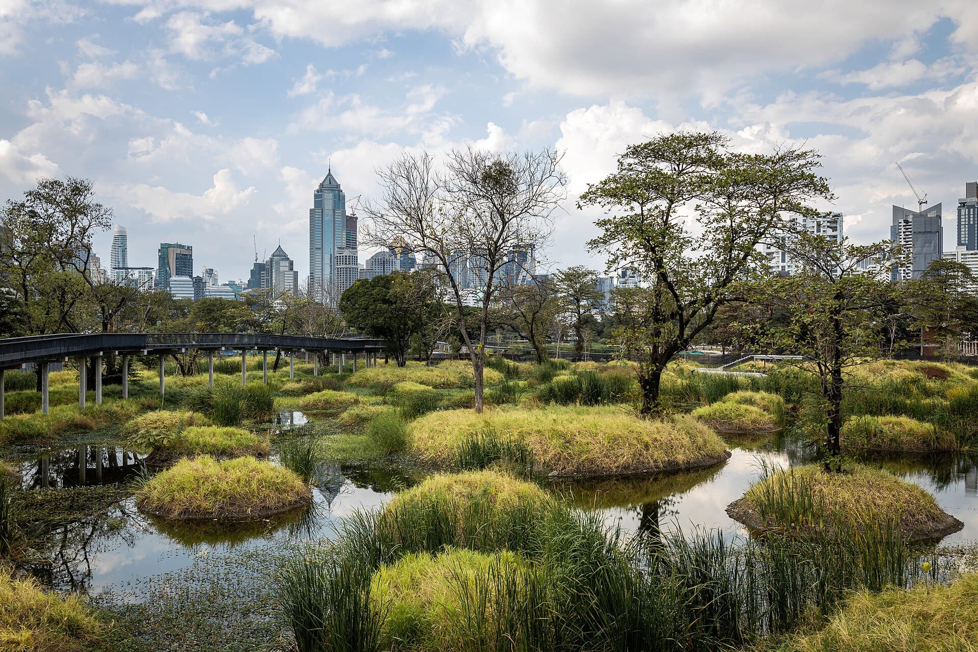 Benjakitti Forest Park, Bangkok