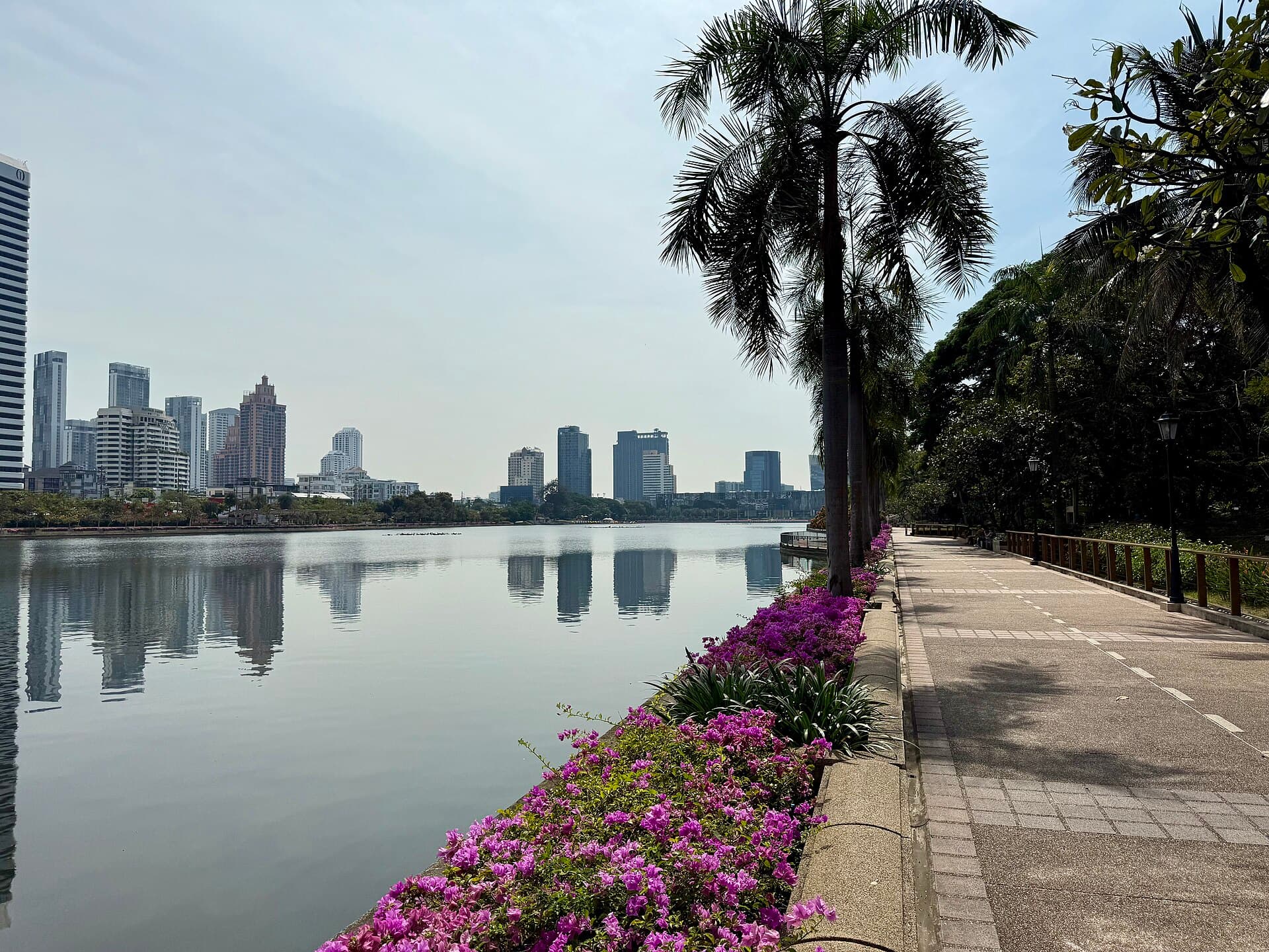 Benjakitti Forest Park, Bangkok