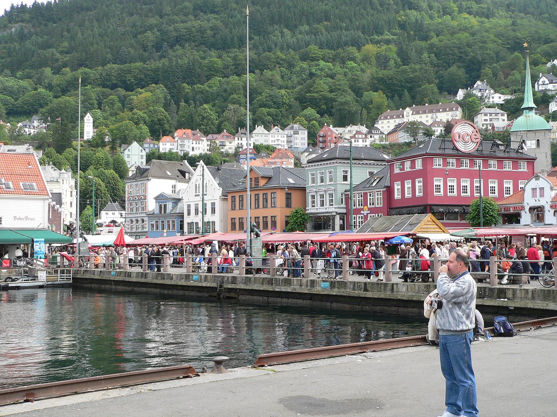 The Bergen Fish Market, Bergen