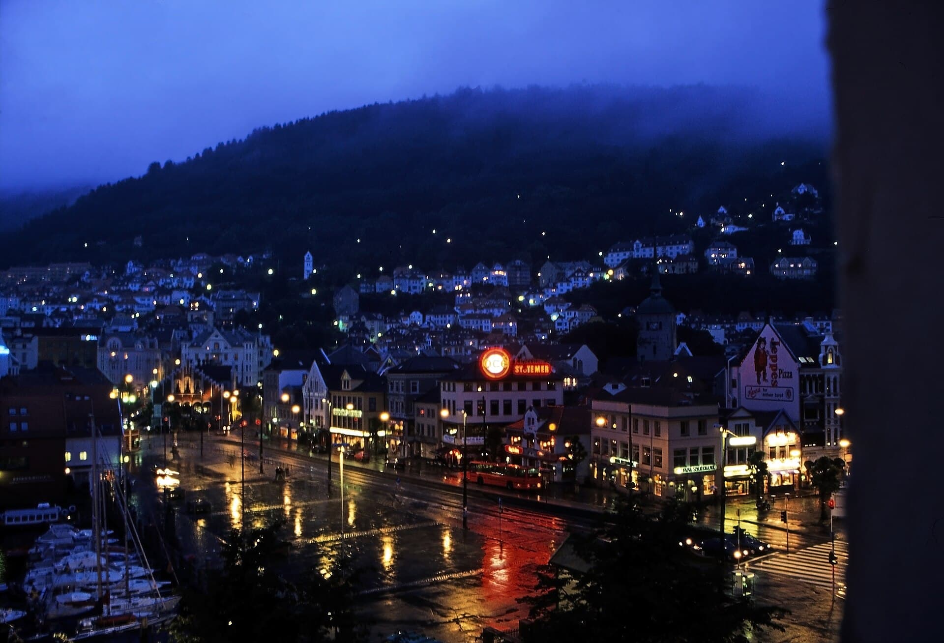 The Bergen Fish Market, Bergen