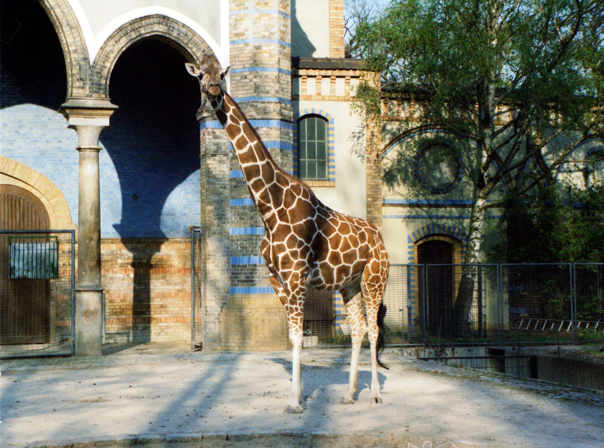 Berlin Zoological Garden, Berlin
