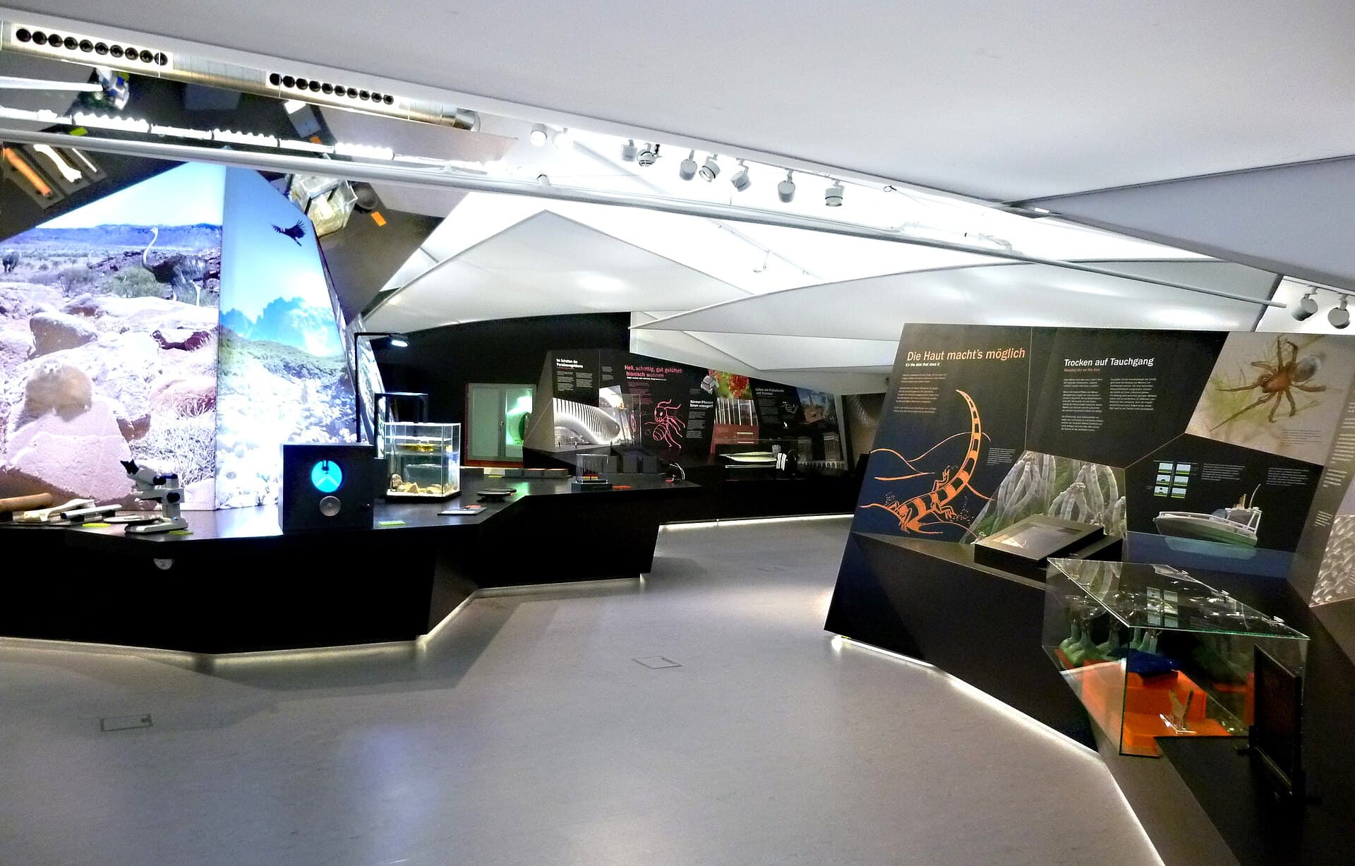 The Bionicum, Nuremberg