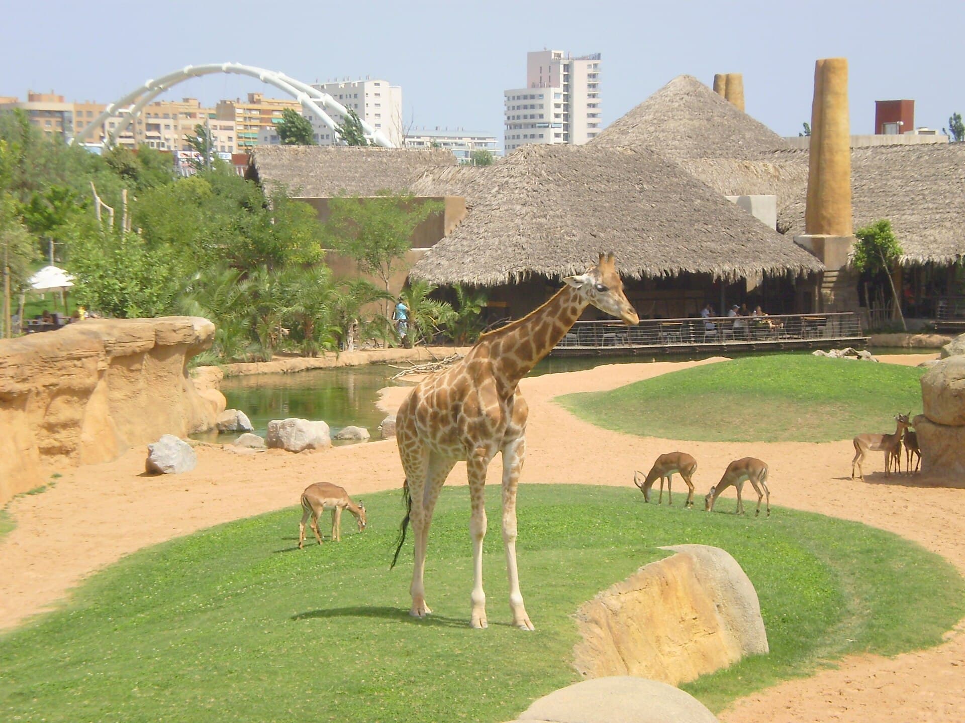 Bioparc Valencia, Valencia