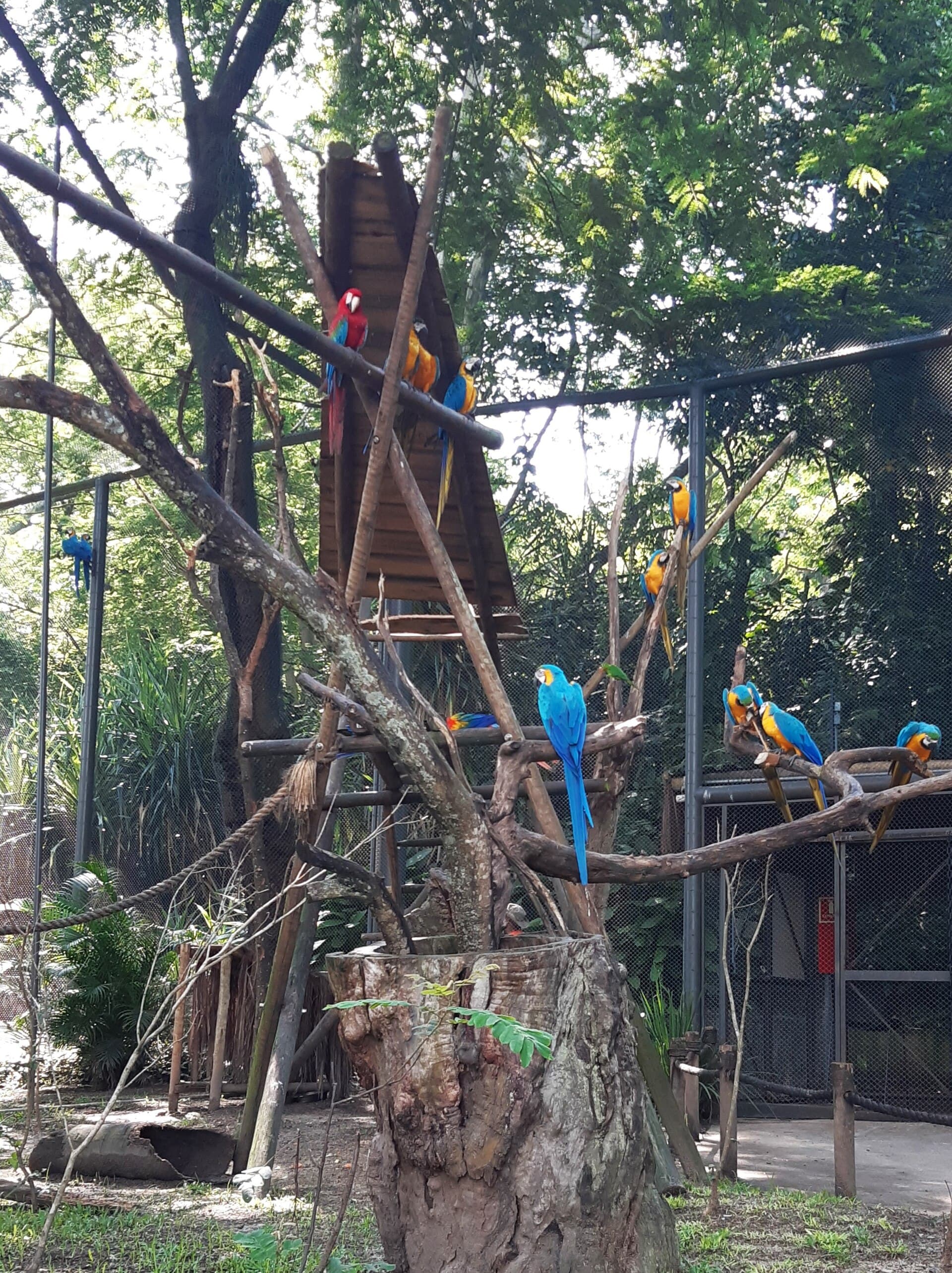 BioParque do Rio, Rio de Janeiro