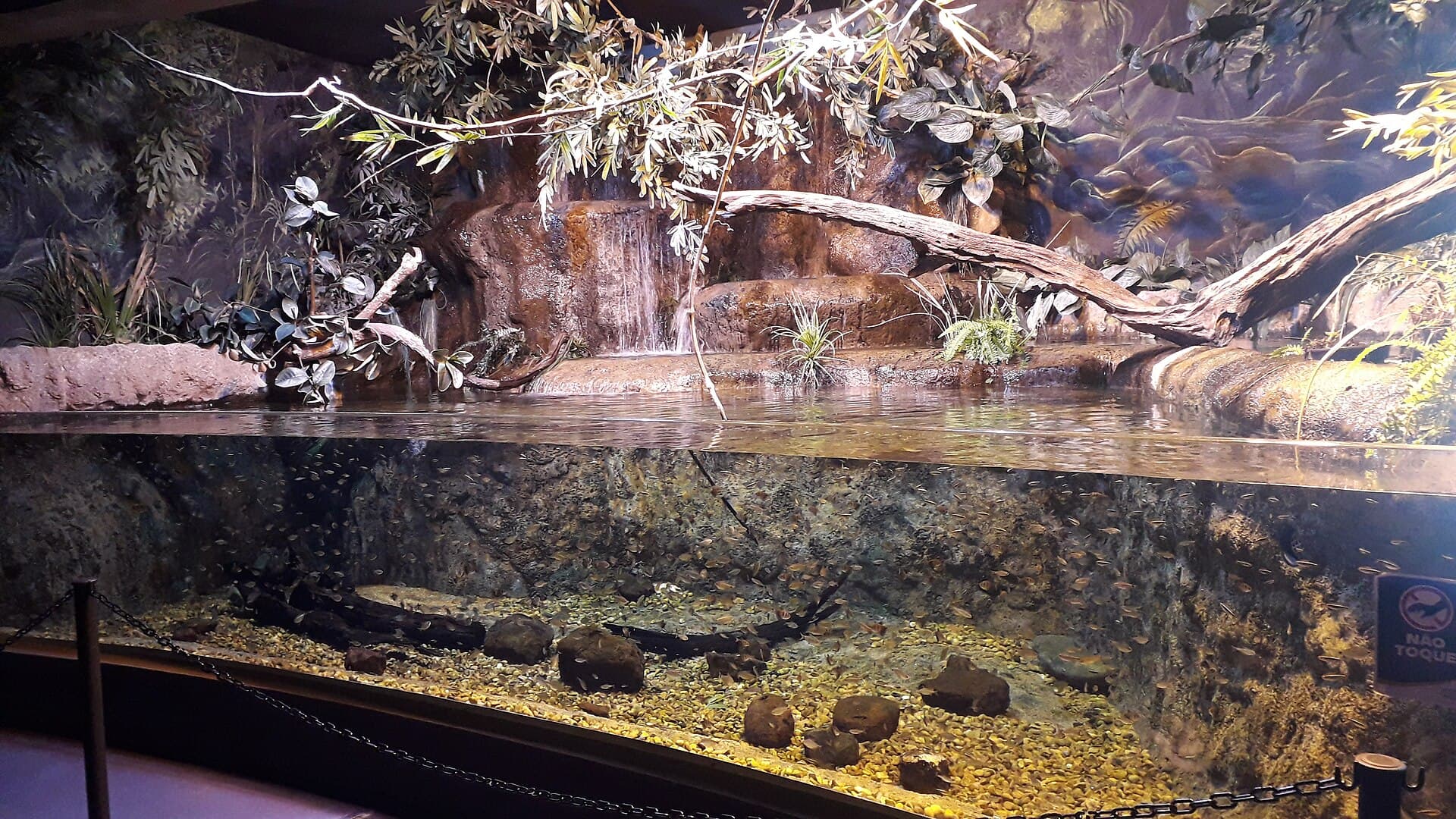 Bioparque Pantanal, Campo Grande