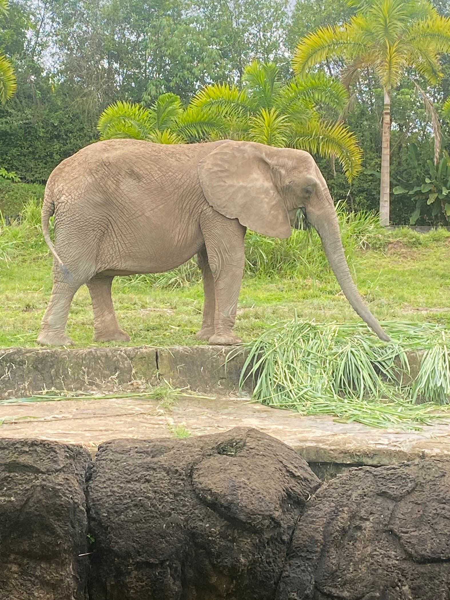 Ukumarí Biopark