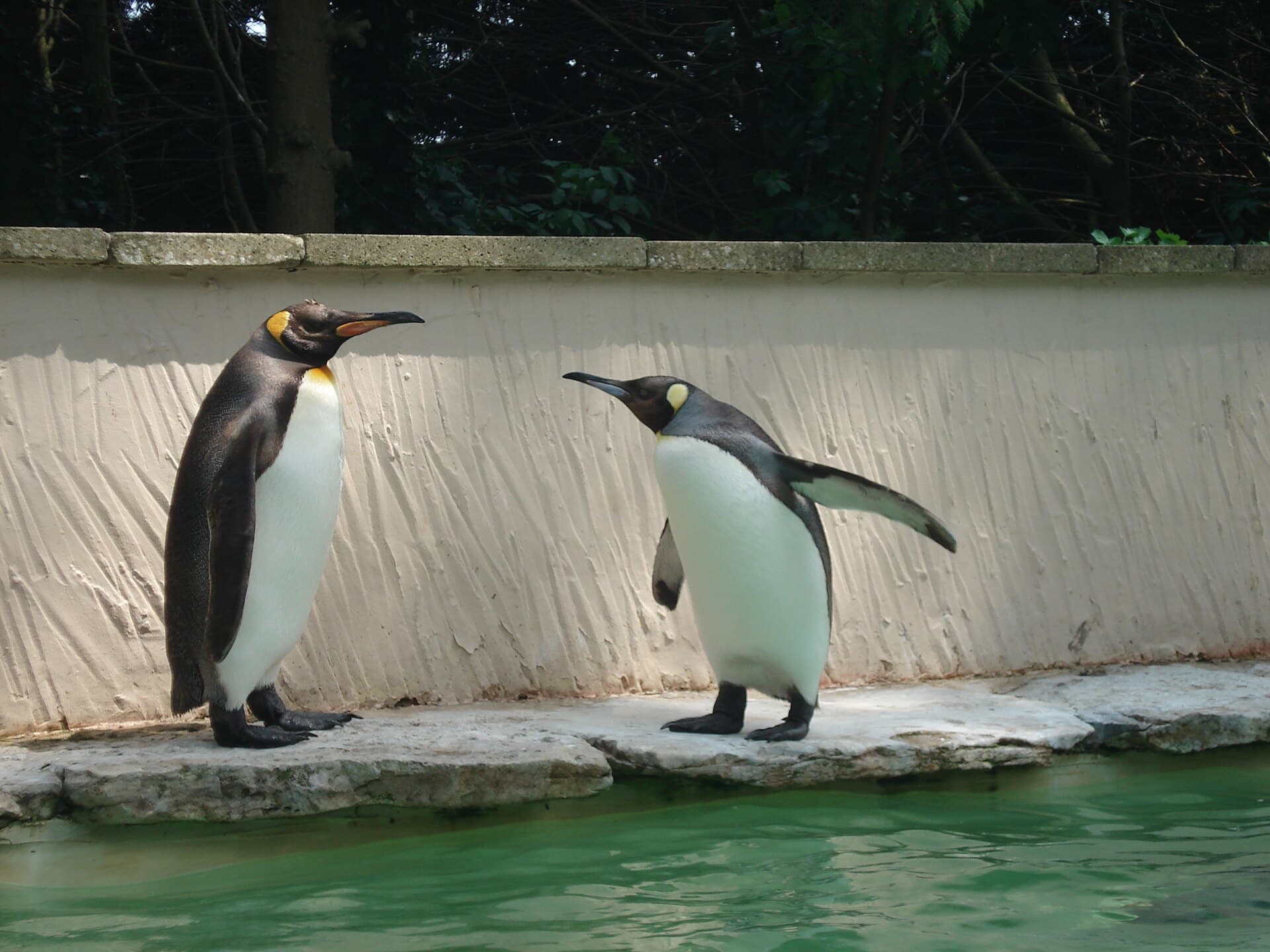 Birdland Park and Gardens, Bourton-on-the-Water