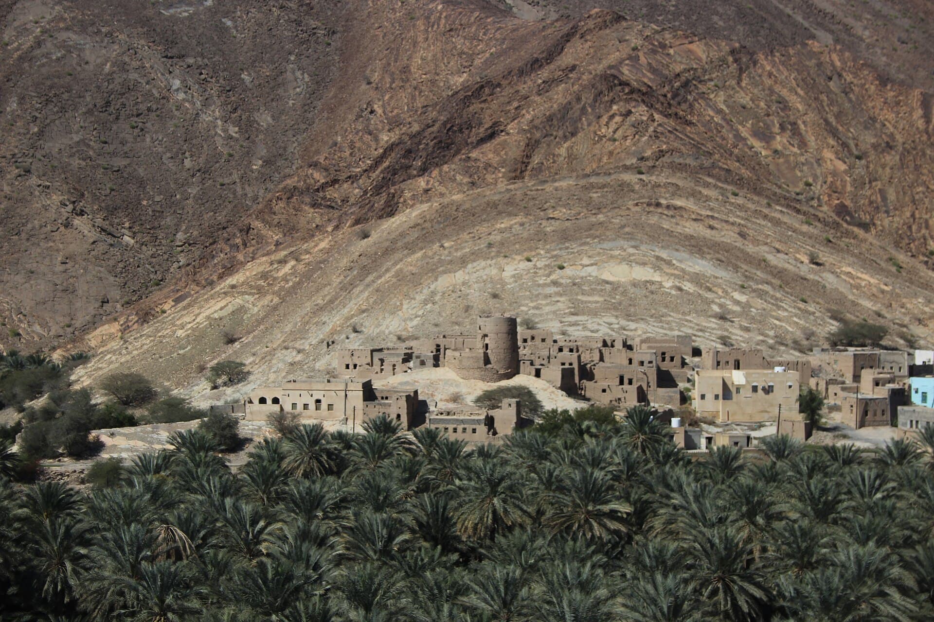 بركة الموز، بركة الموز
