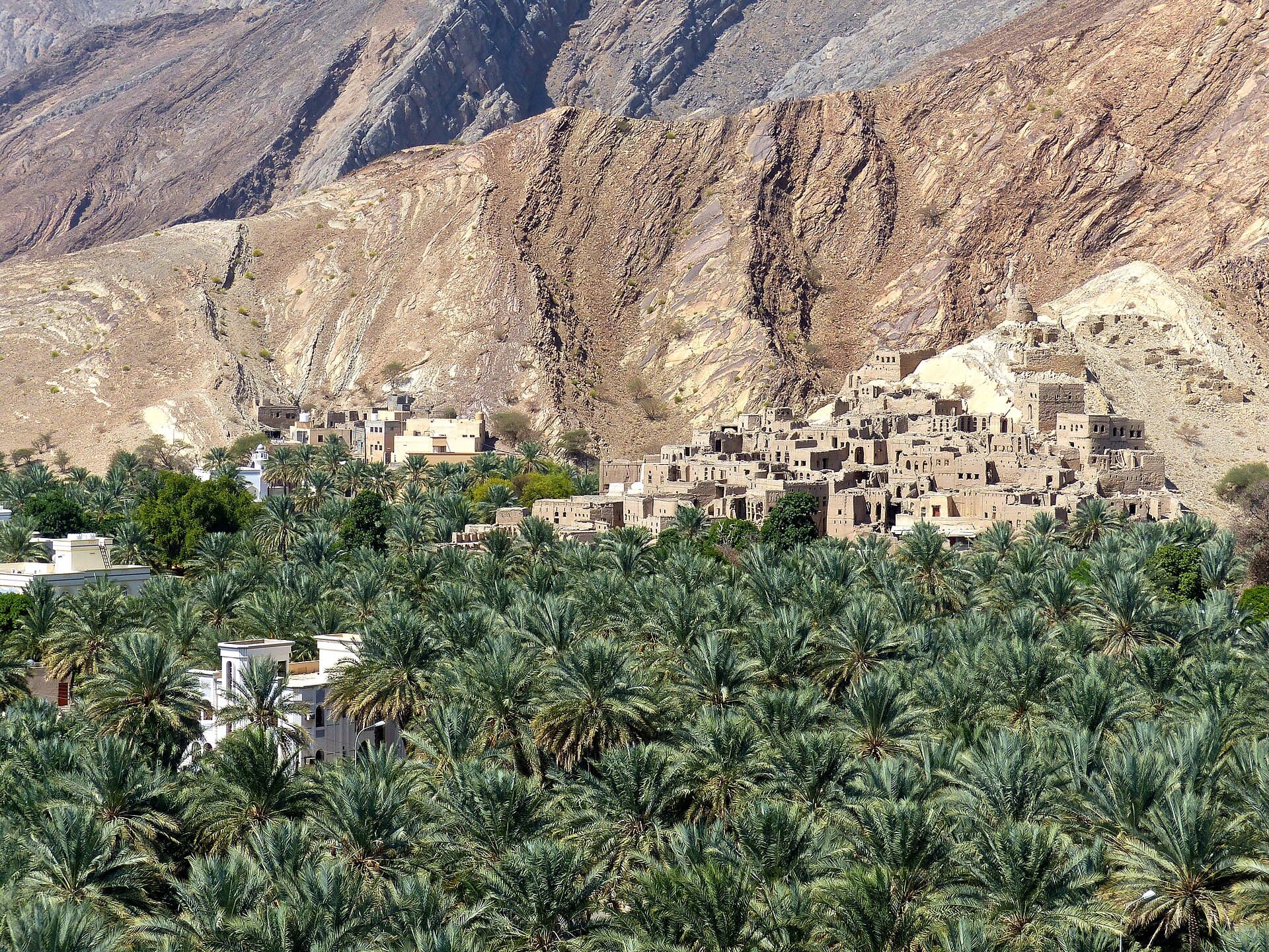 بركة الموز، بركة الموز
