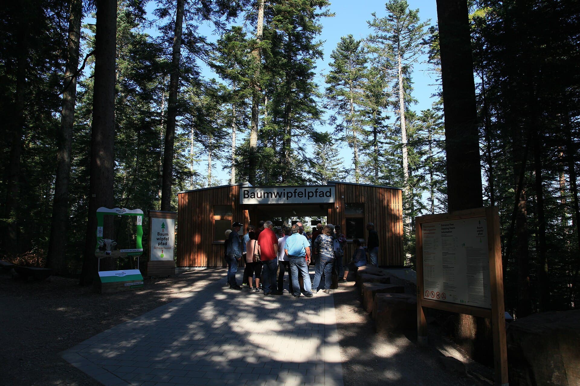 Black Forest Treetop Walk, Bad Wildbad
