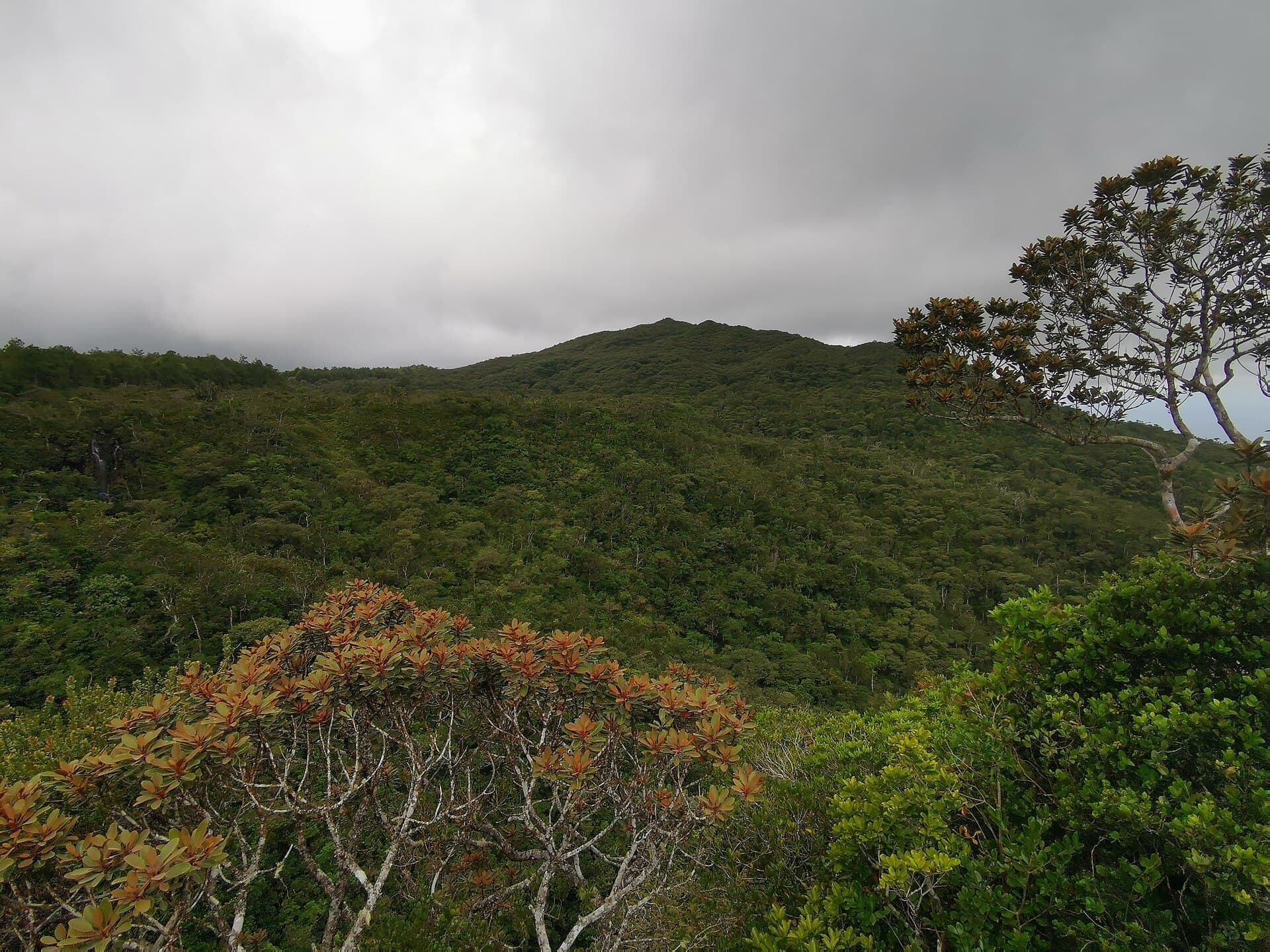 Black River Gorges National Park, Chamarel