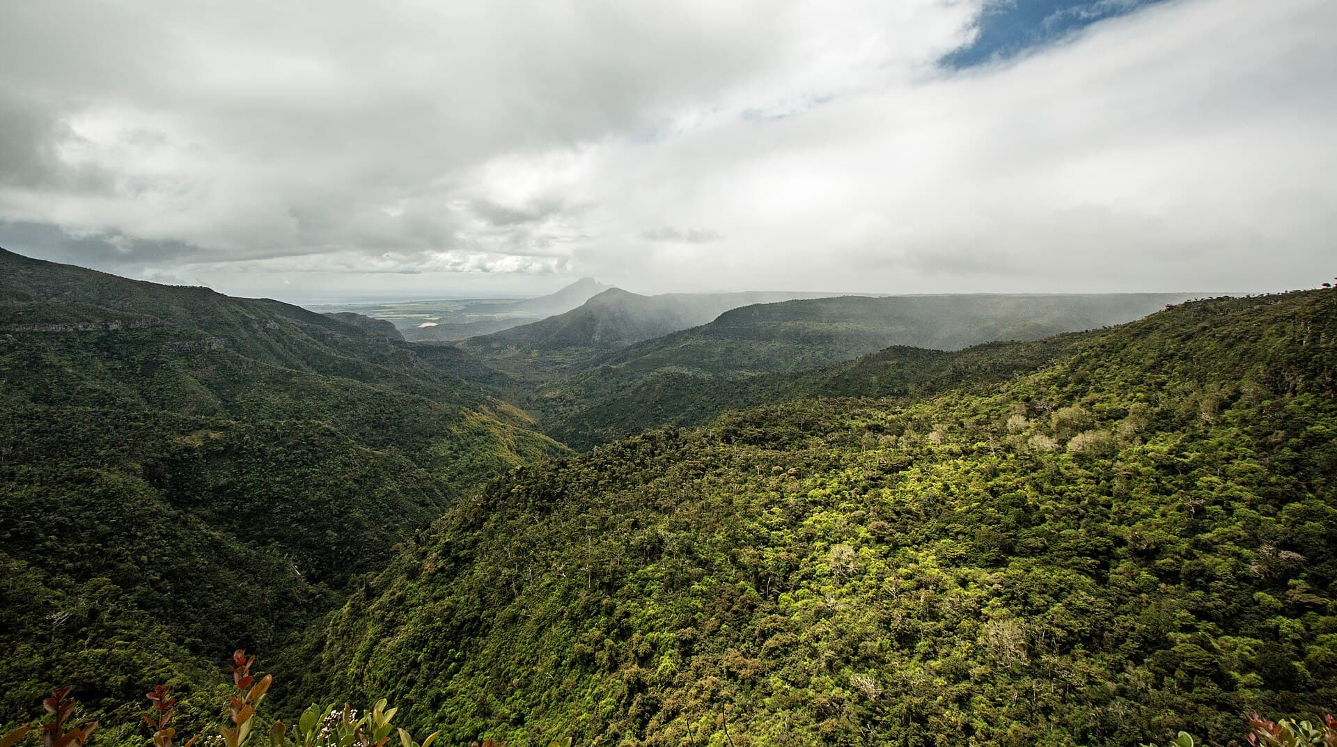 Black River Gorges National Park, Chamarel