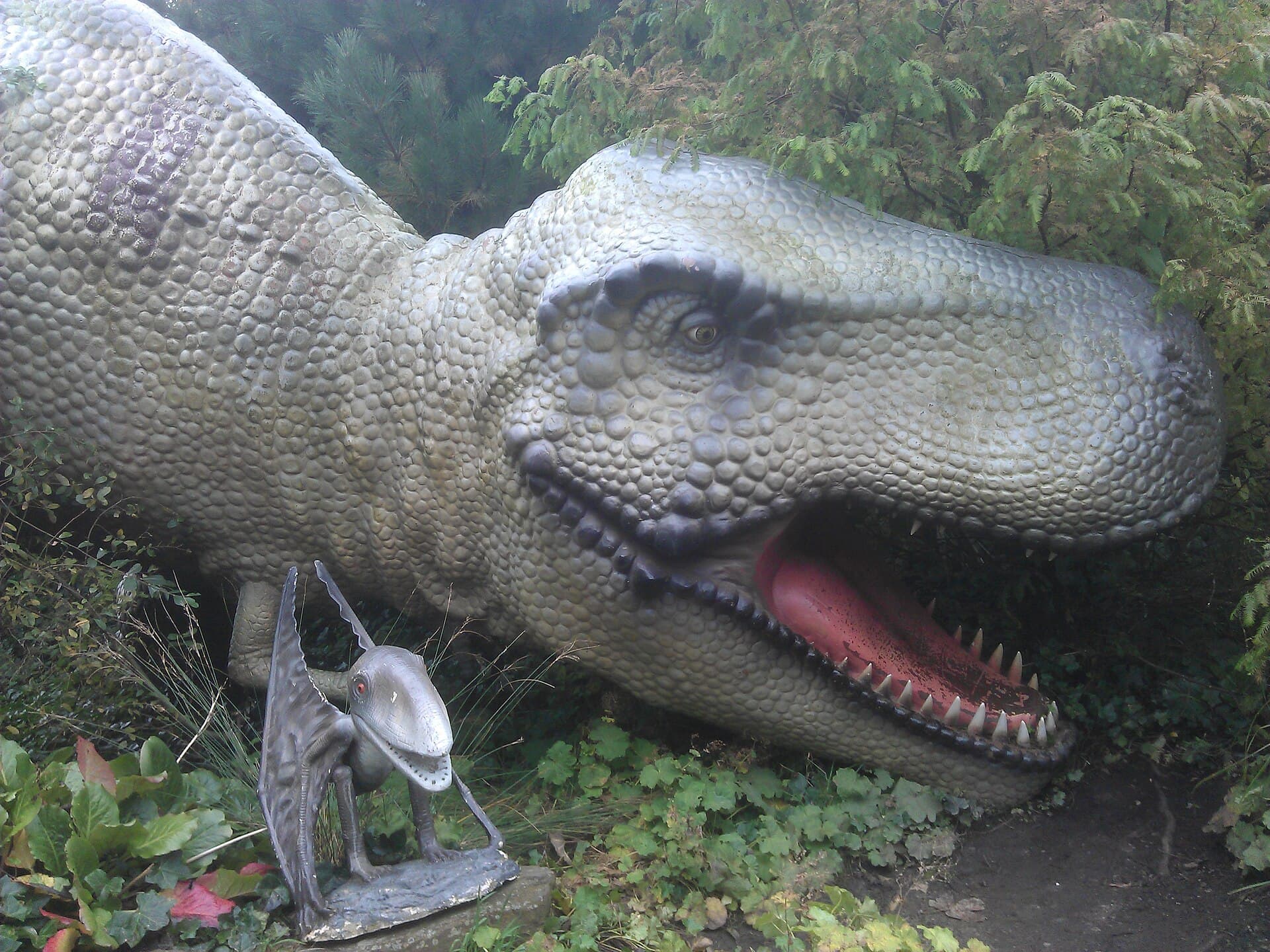Blackpool Zoo, Blackpool