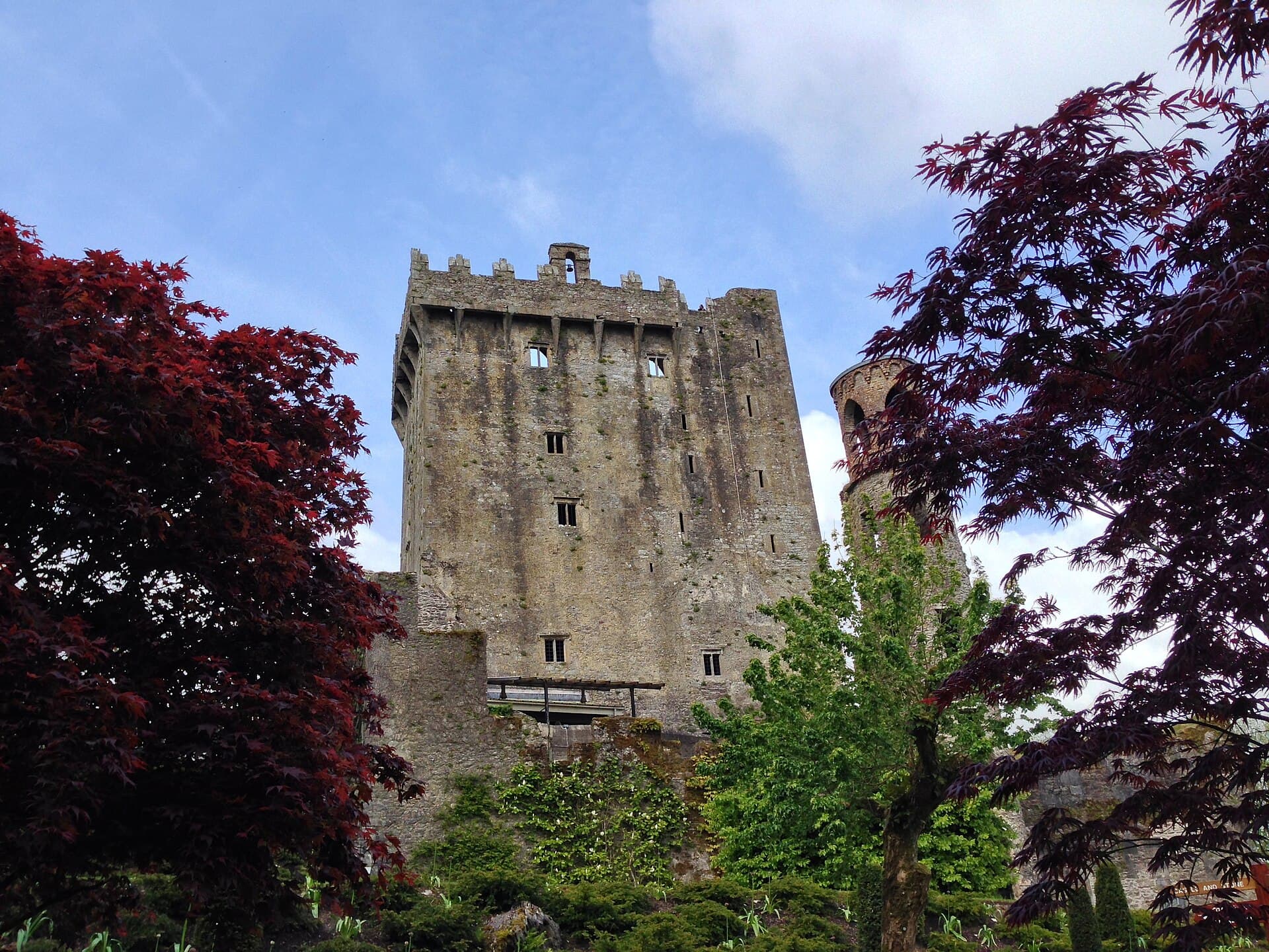 Cork