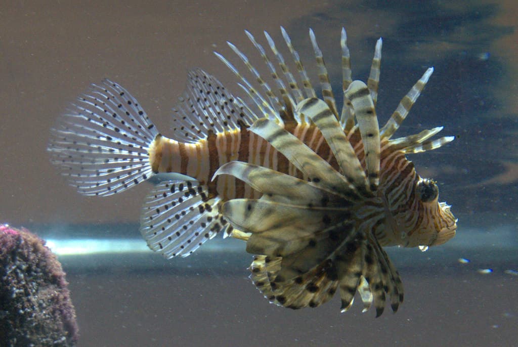 Blue Planet Aquarium, Chester