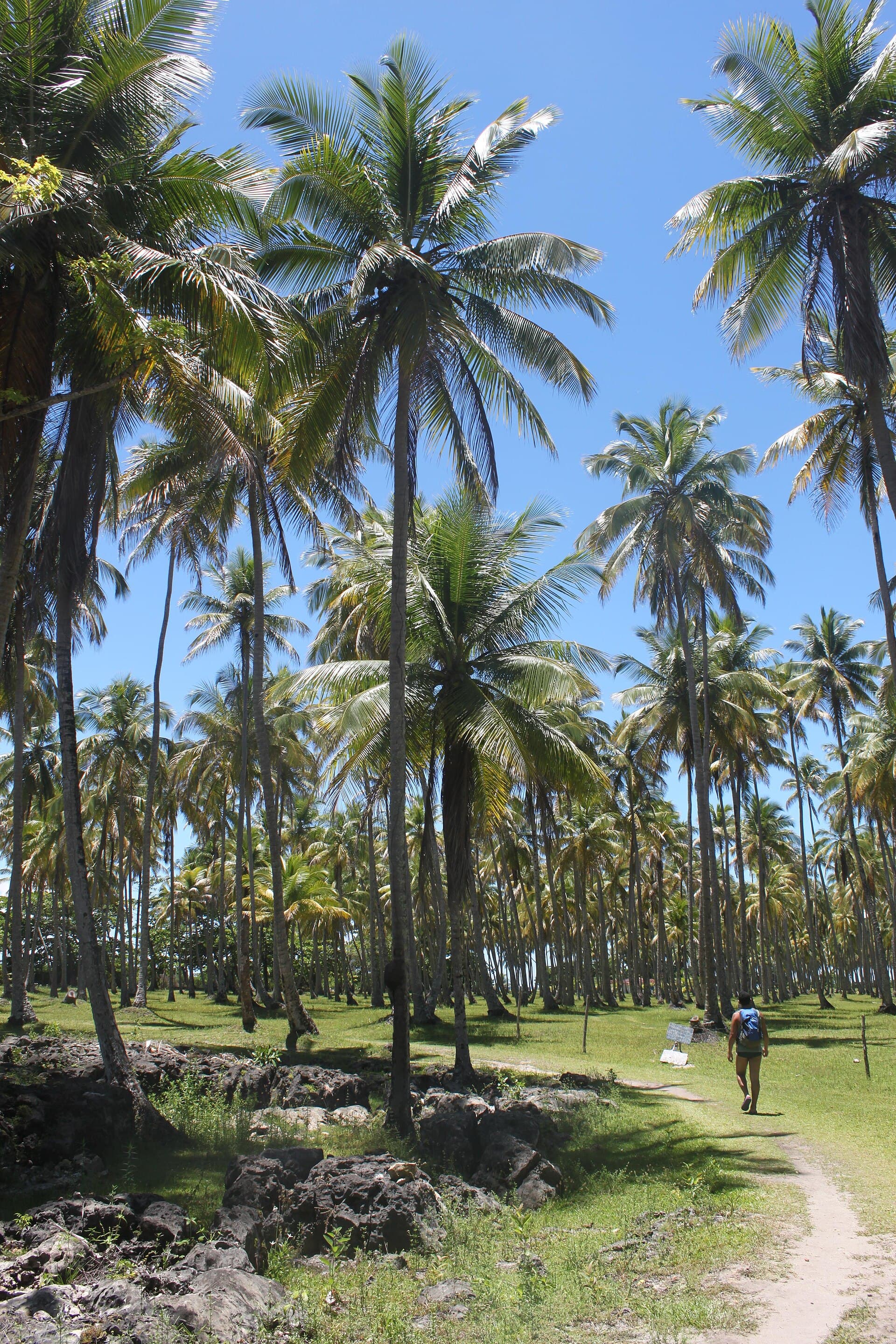 Boipeba Island, Cairu