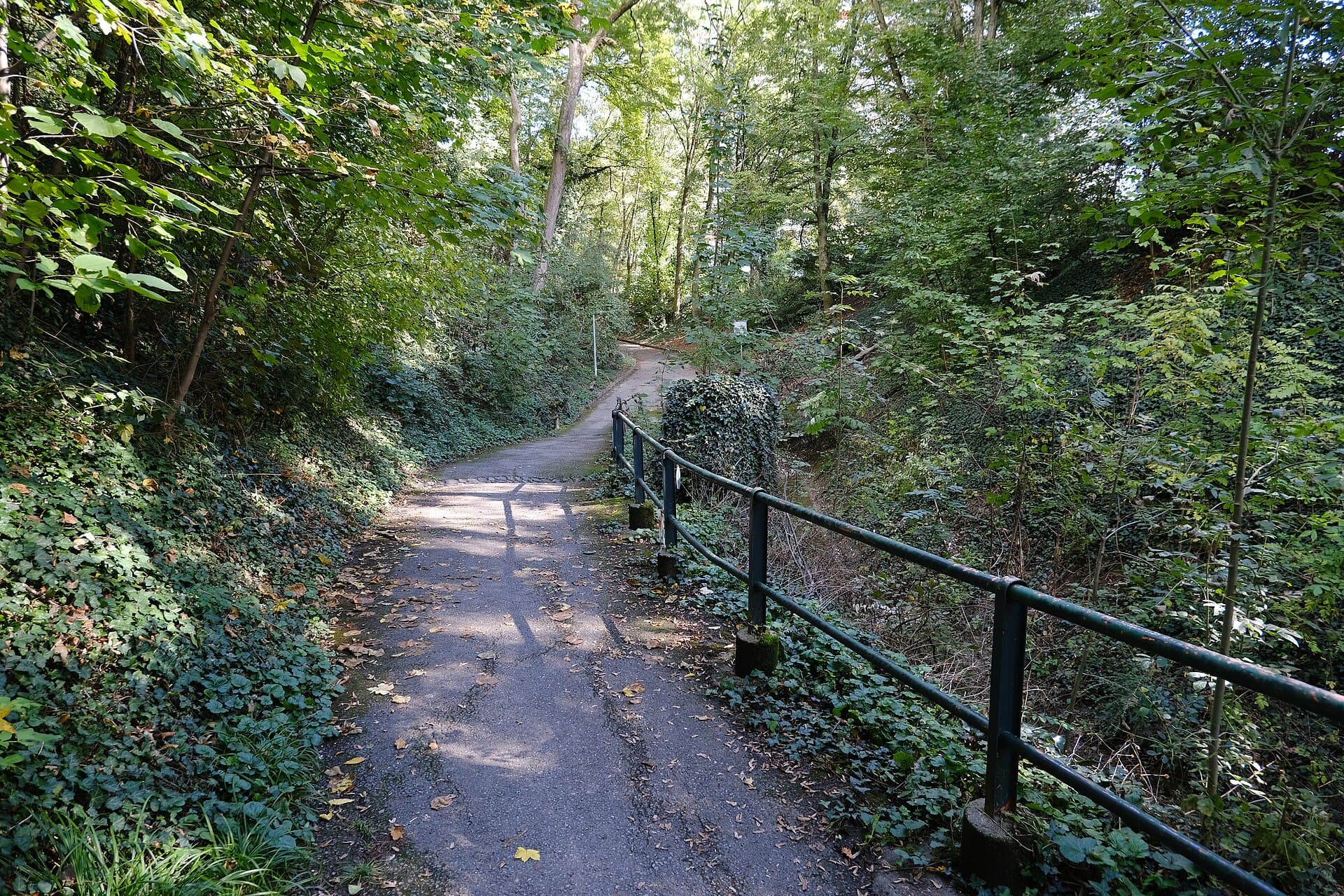 Bois de la Bâtie and its Animal Park, Geneva