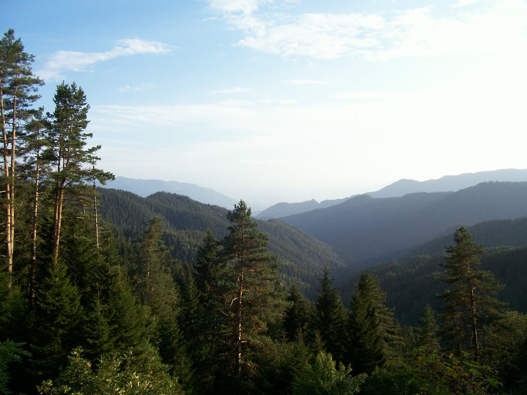 Borjomi-Kharagauli National Park