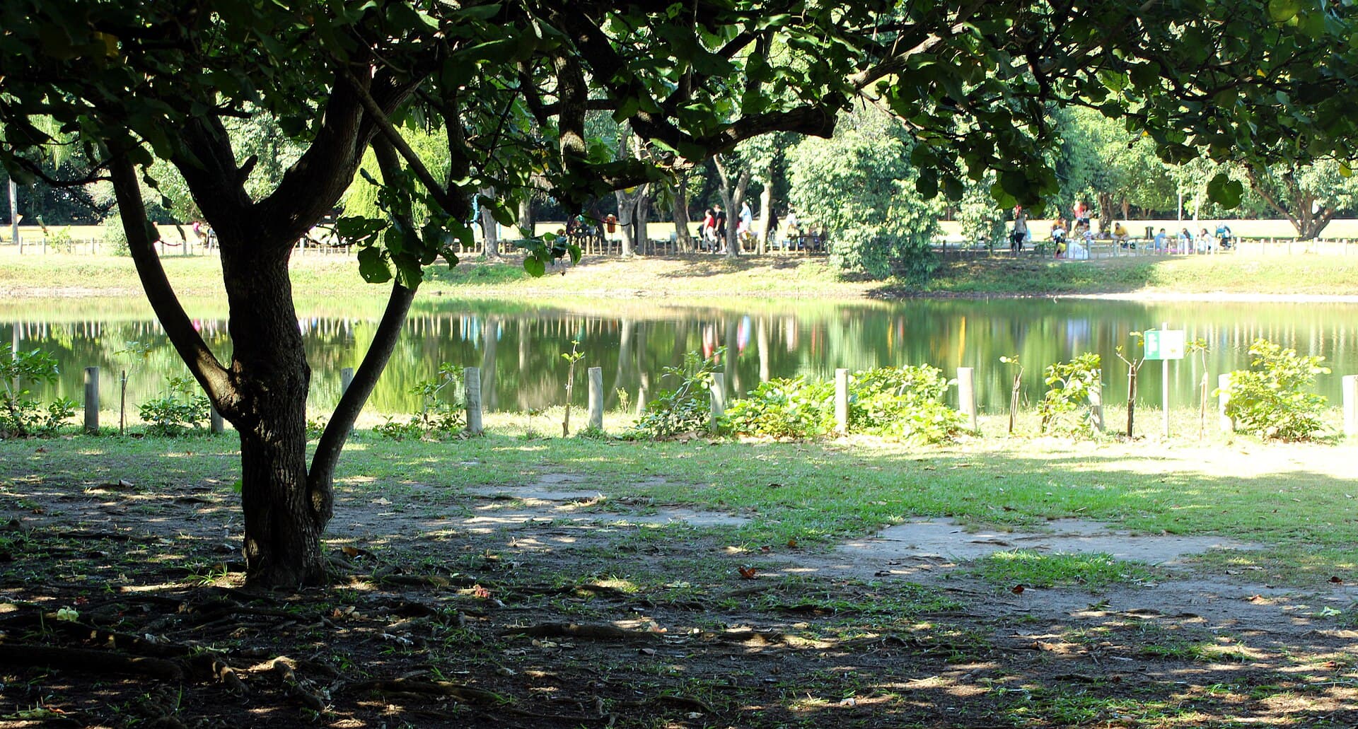 Bosque da Barra