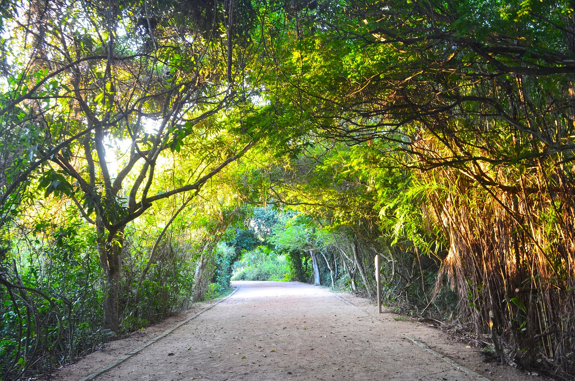 Bosque da Barra, Rio de Janeiro