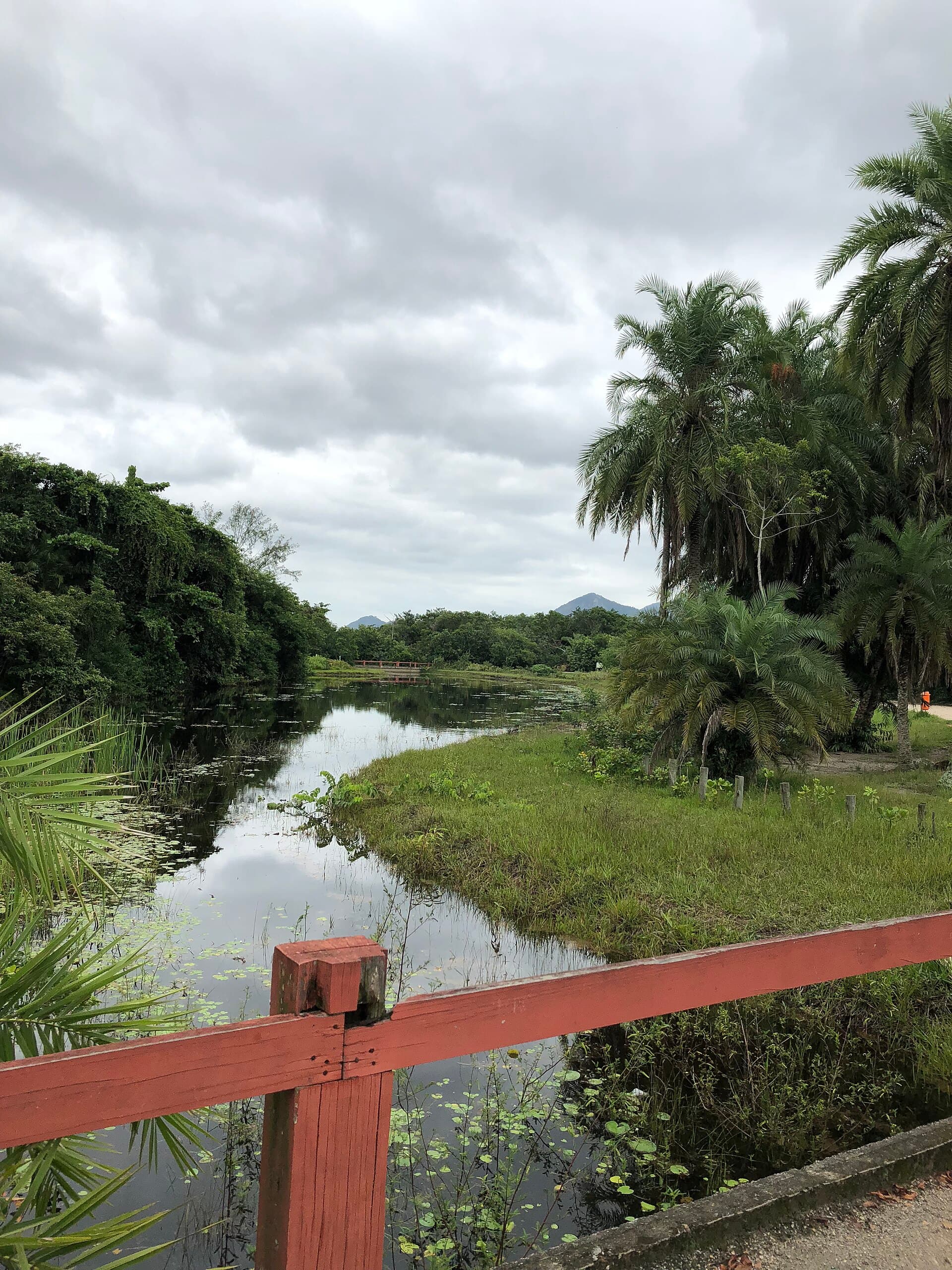 Bosque da Barra, Rio de Janeiro