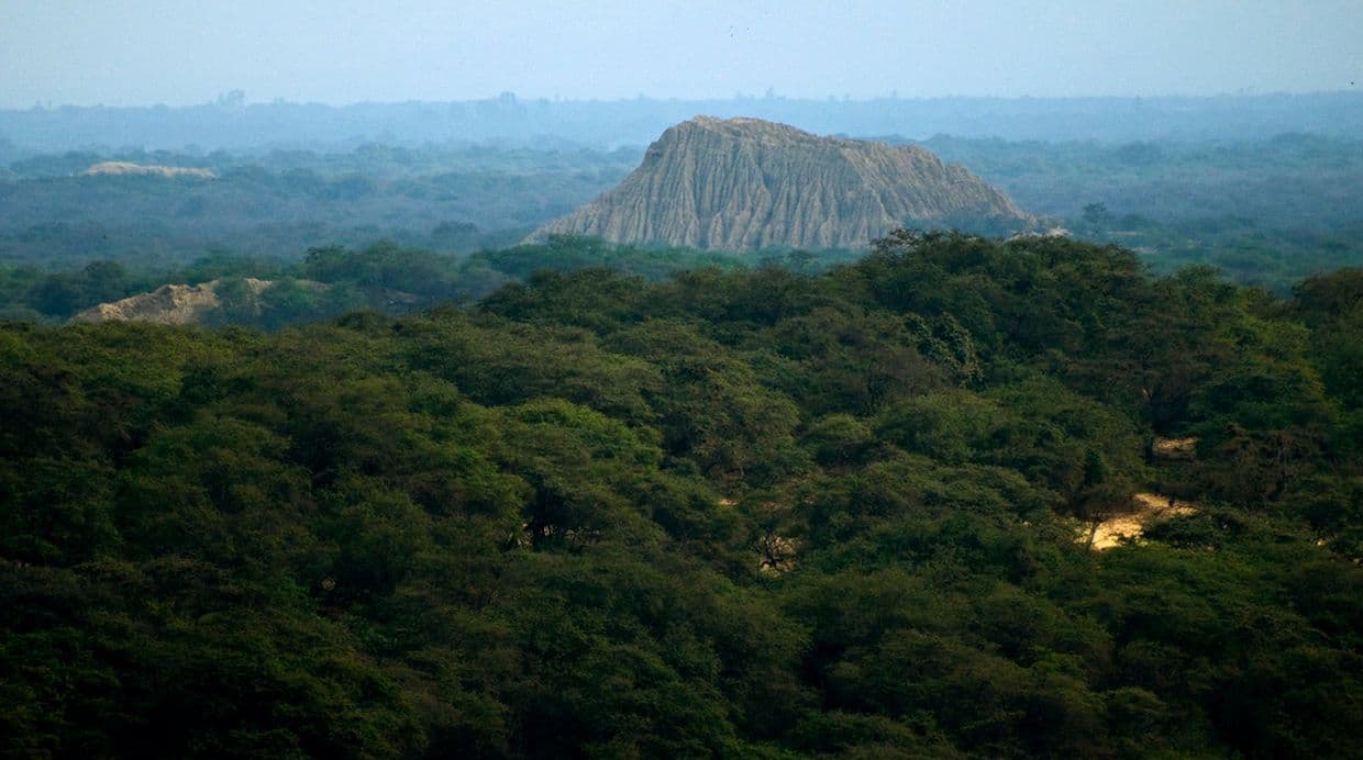 Bosque de Pómac Historic Sanctuary