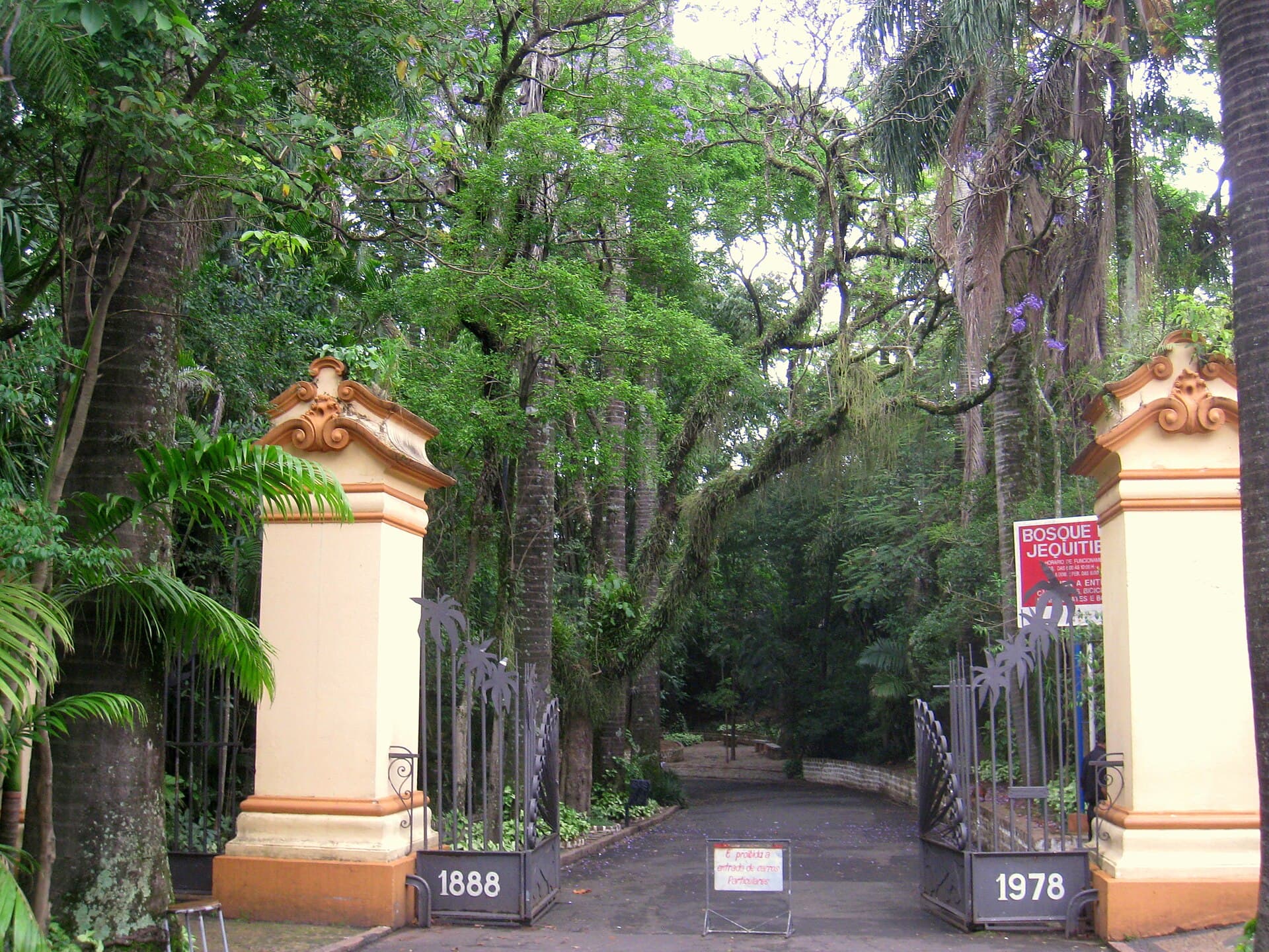Bosque dos Jequitibás, Campinas