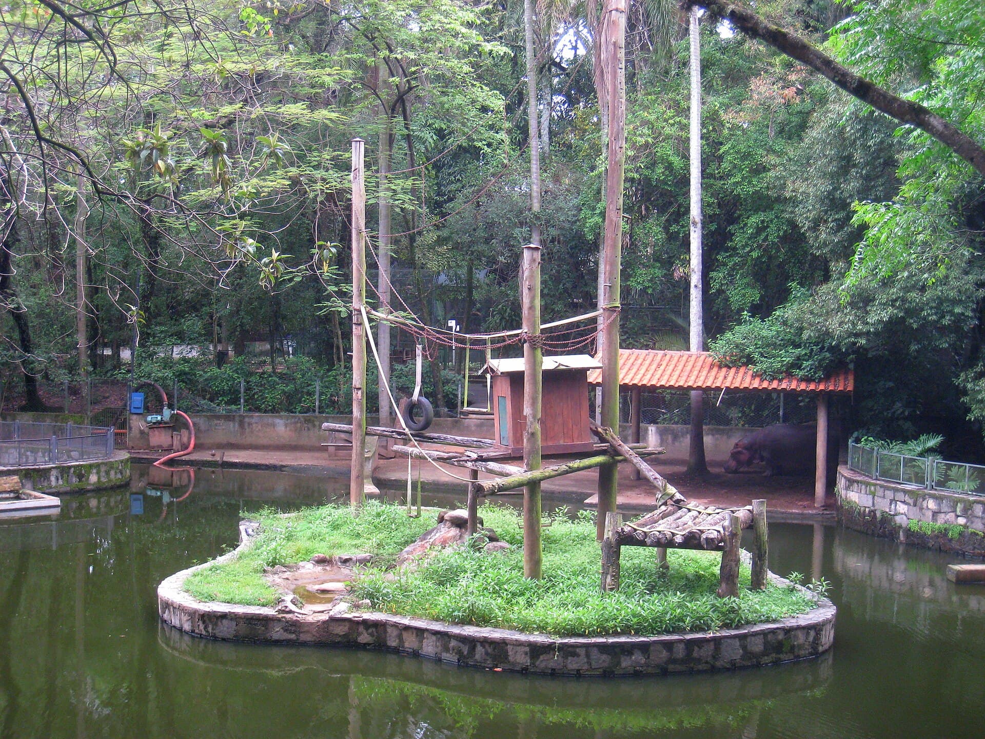 Bosque dos Jequitibás, Campinas