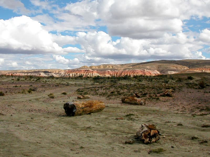 Sarmiento Petrified Forest, Comodoro Rivadavia