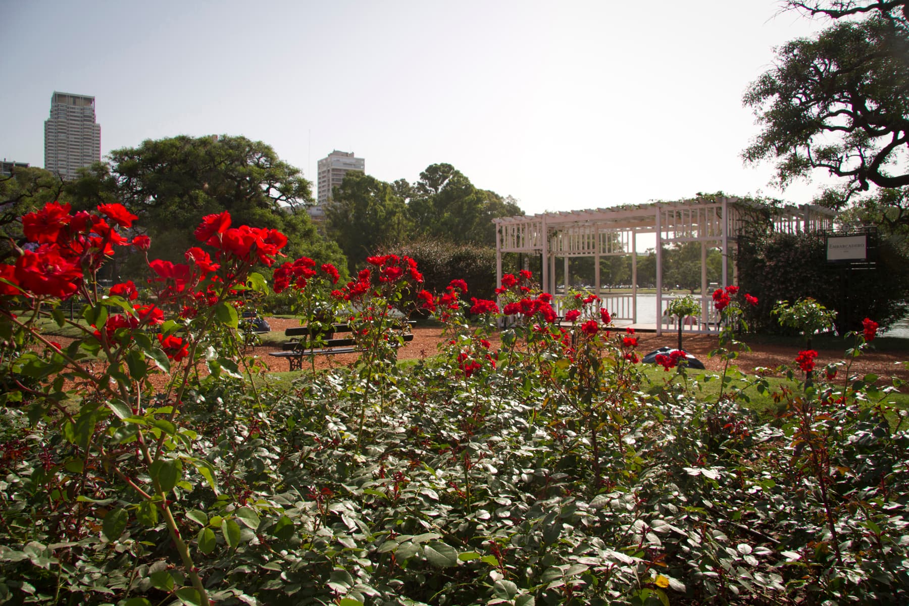 Palermo Woods (Parque Tres de Febrero), Buenos Aires
