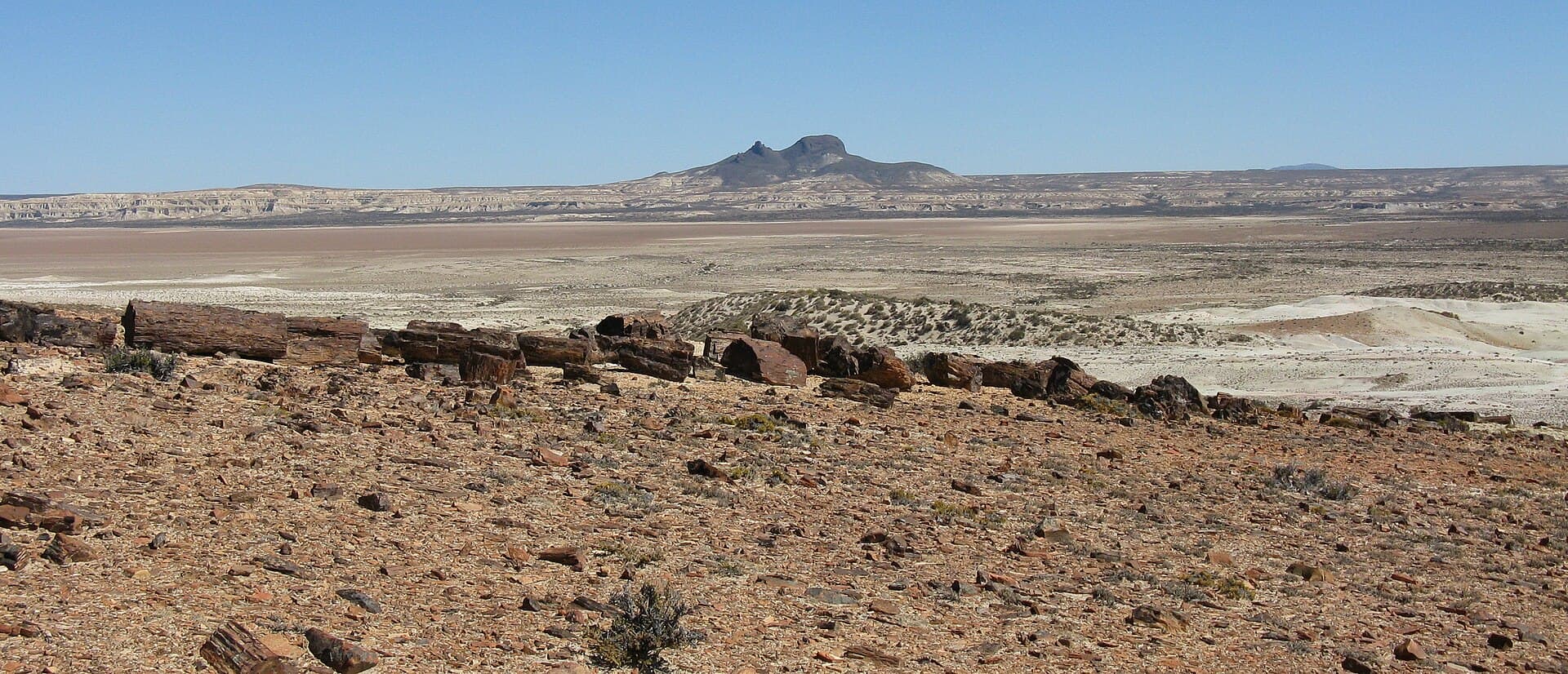 Jaramillo Petrified Forests, Puerto Deseado
