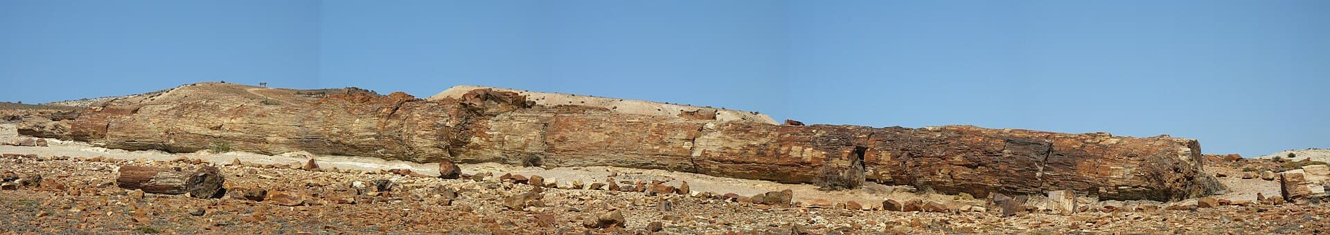 Jaramillo Petrified Forests, Puerto Deseado