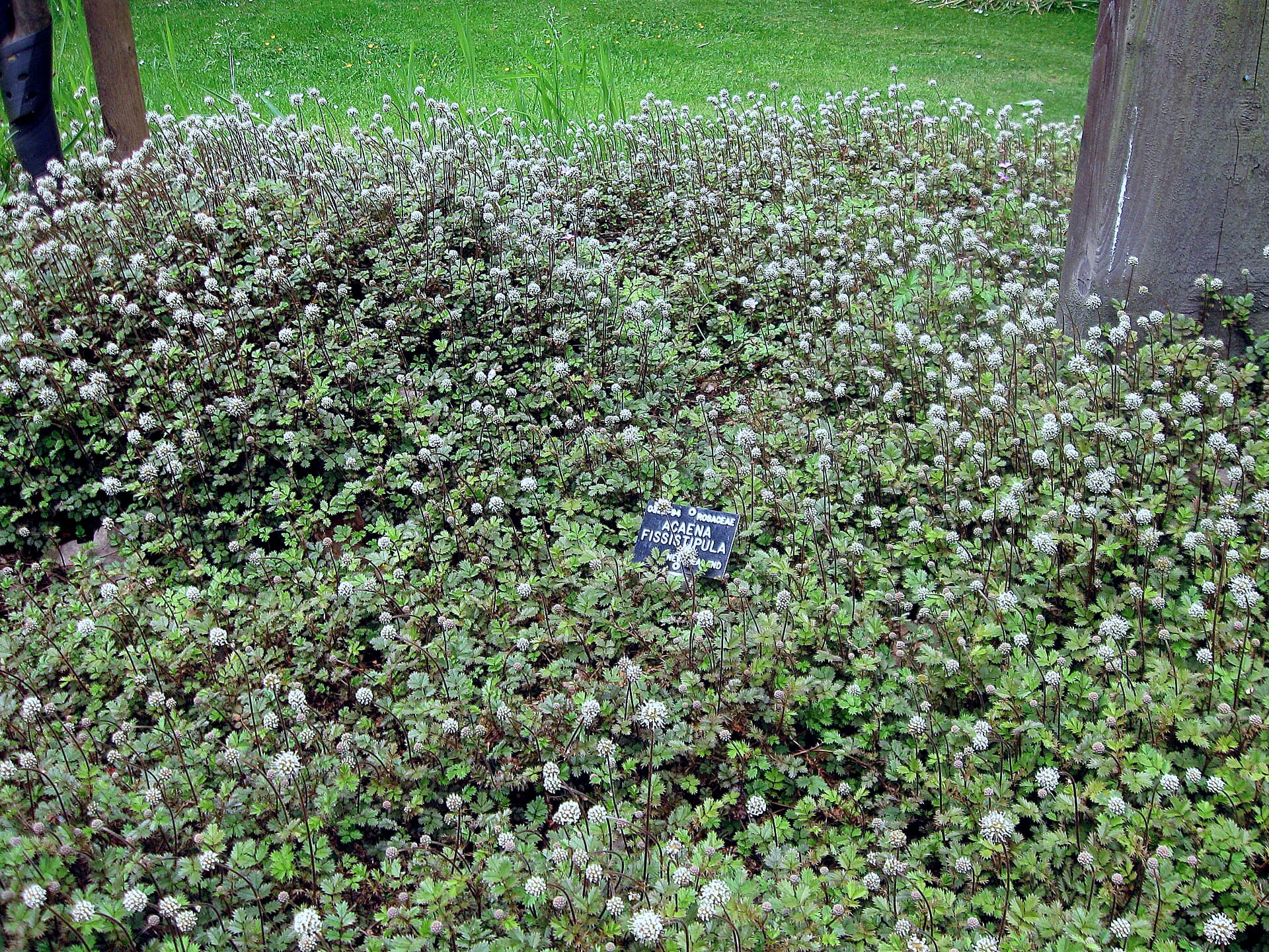 Durham University Botanic Garden, Durham