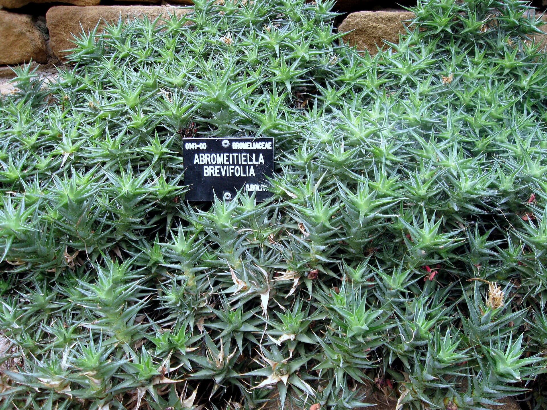 Durham University Botanic Garden, Durham