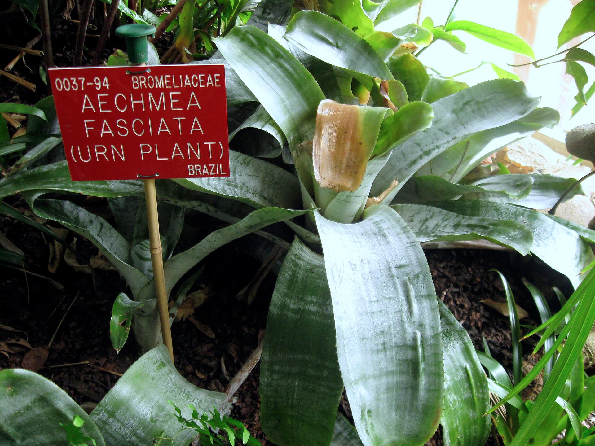Durham University Botanic Garden, Durham