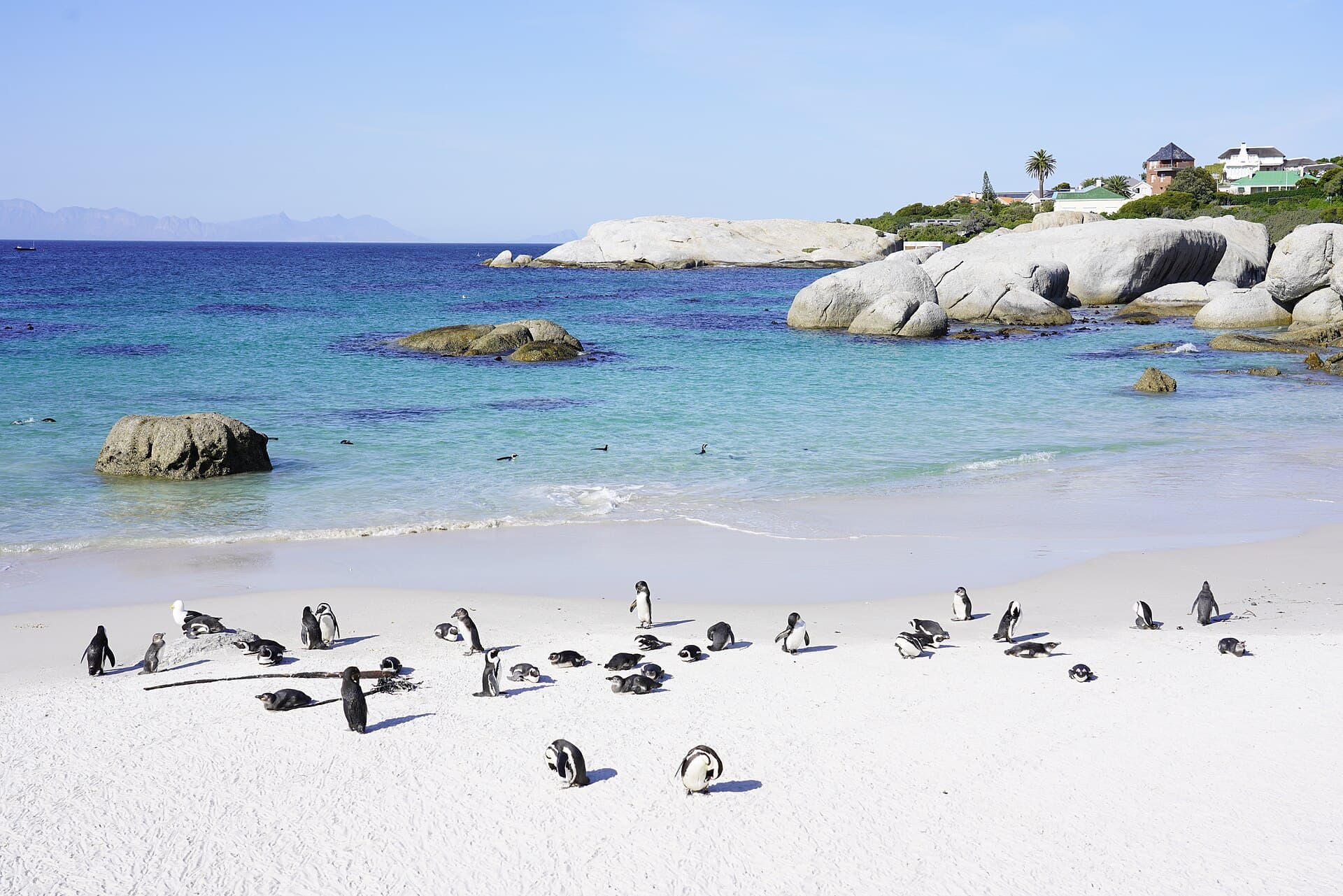 Boulders Beach and Penguin Colony