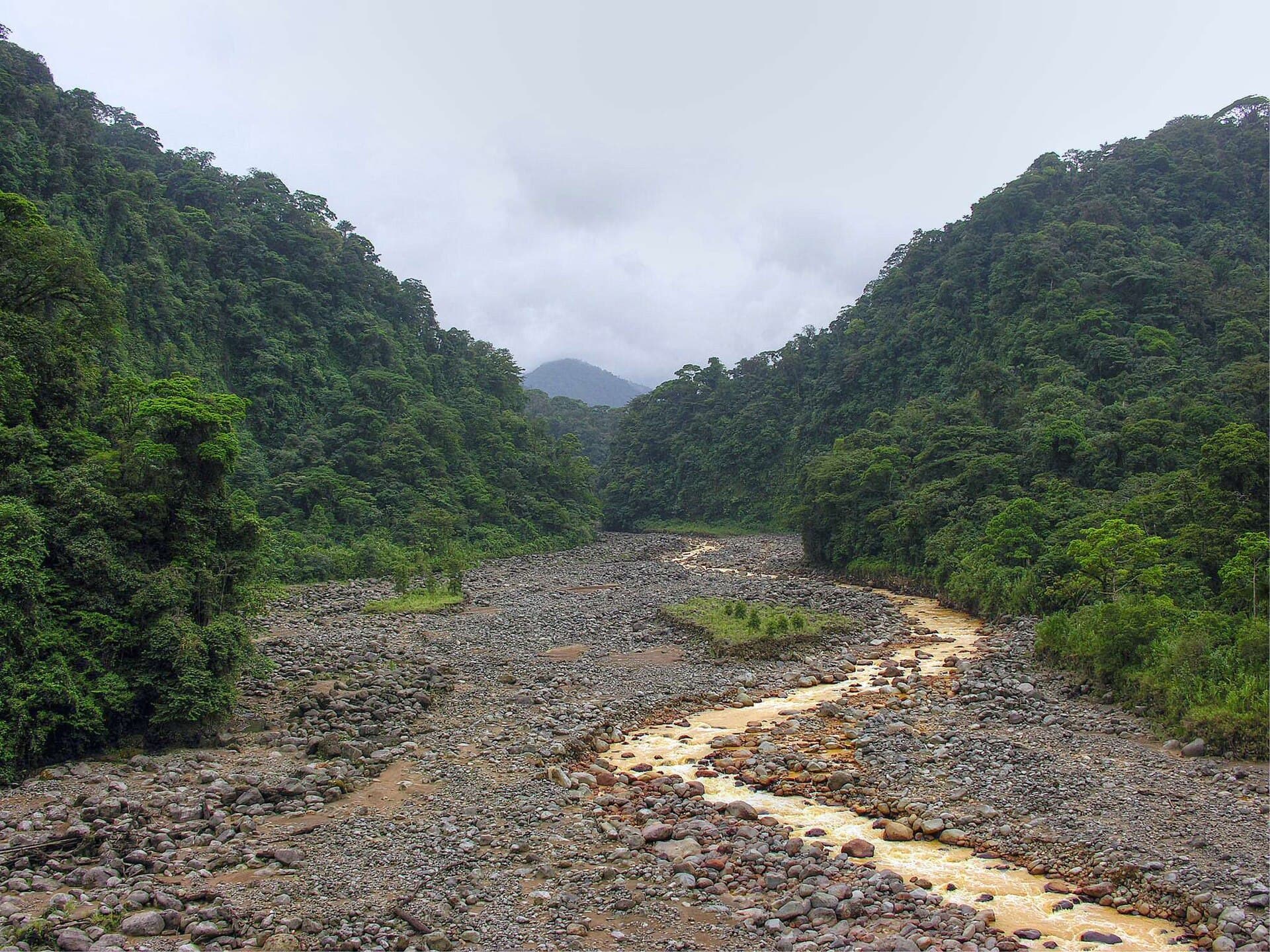 Braulio Carrillo rainforest