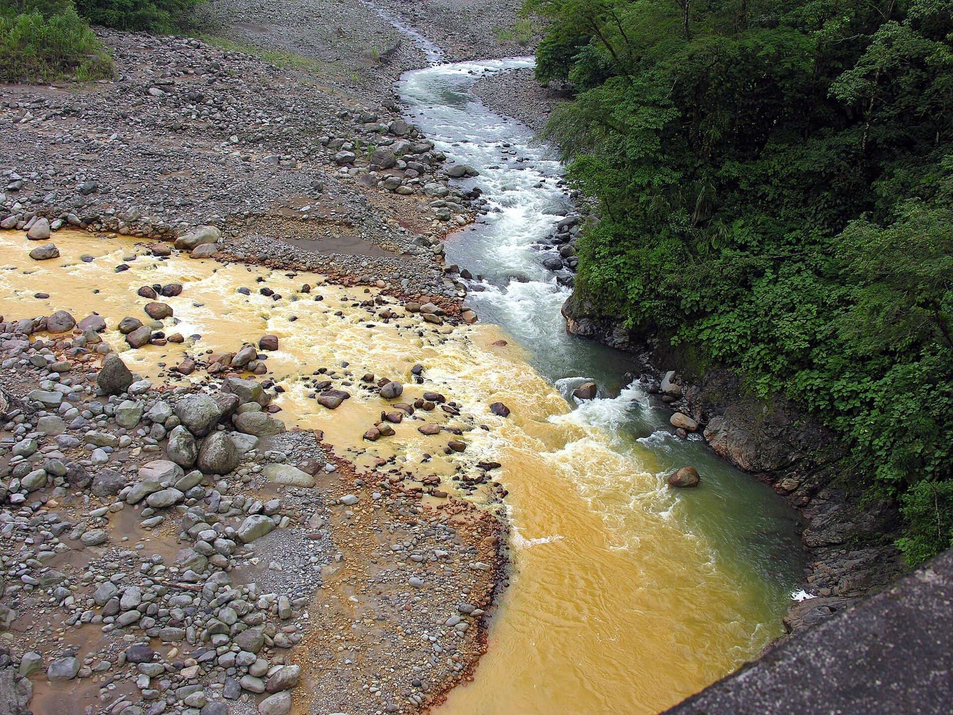 Braulio Carrillo rainforest