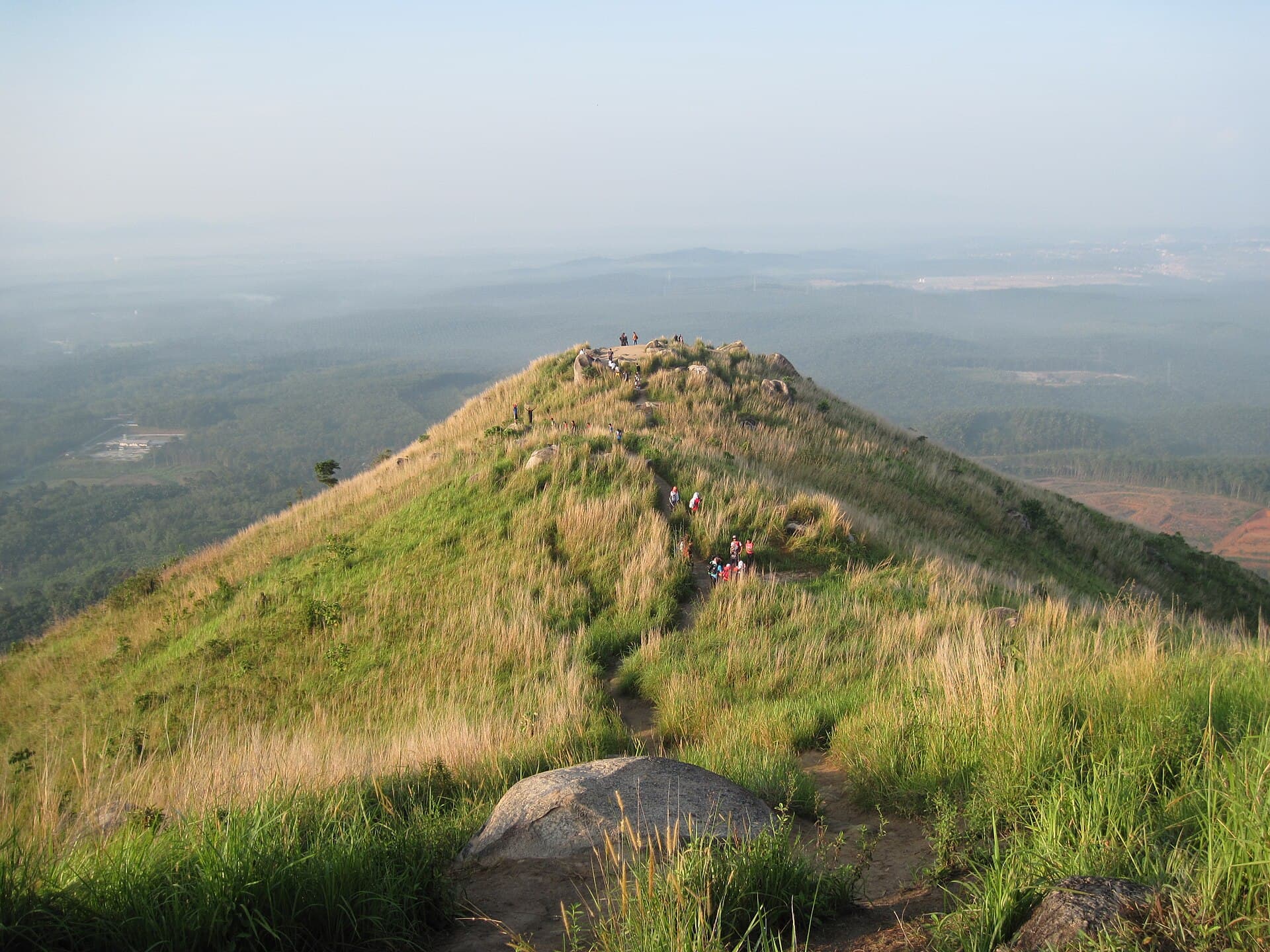Broga Hill