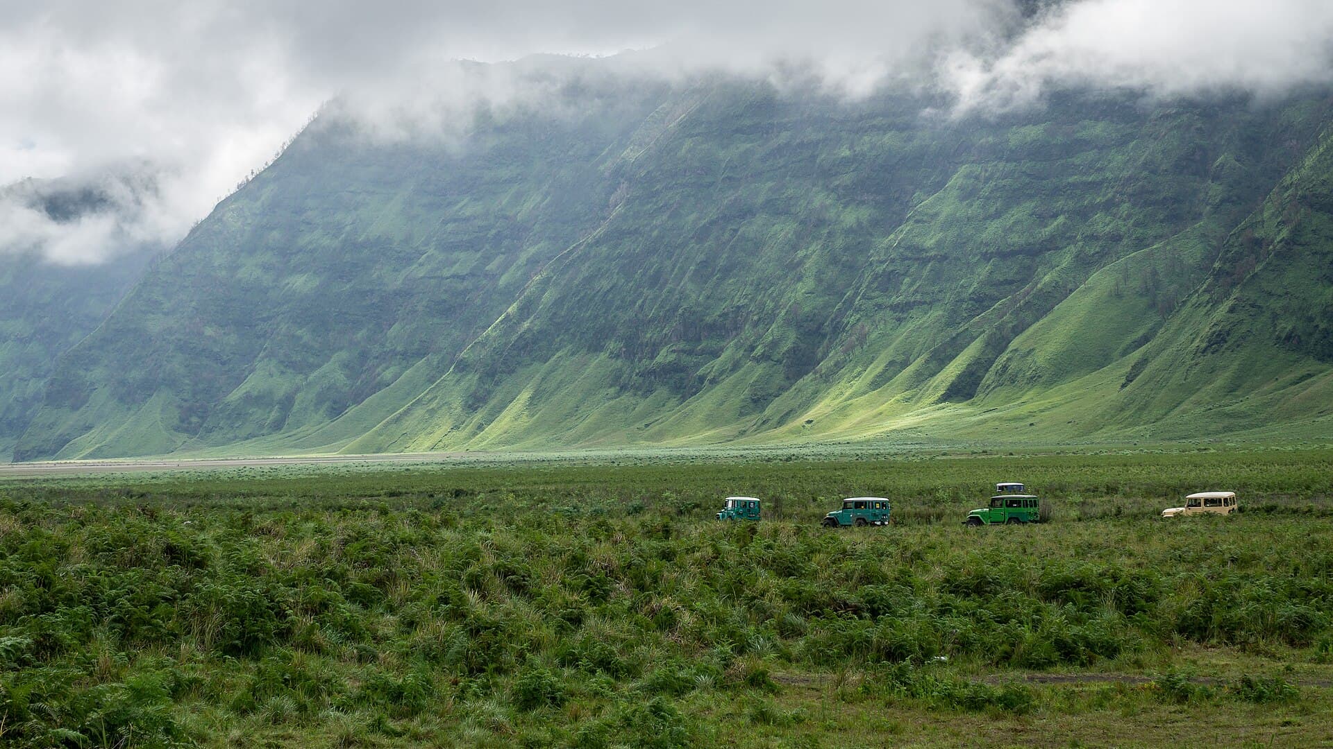 Bromo savanna