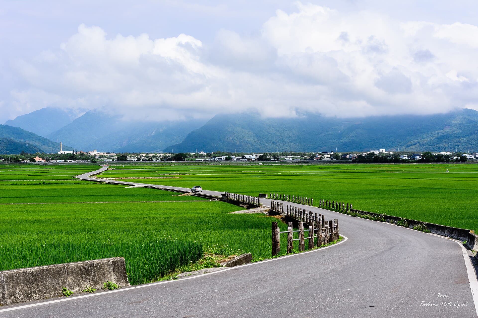 Rice fields on Brown Avenue, Chishang