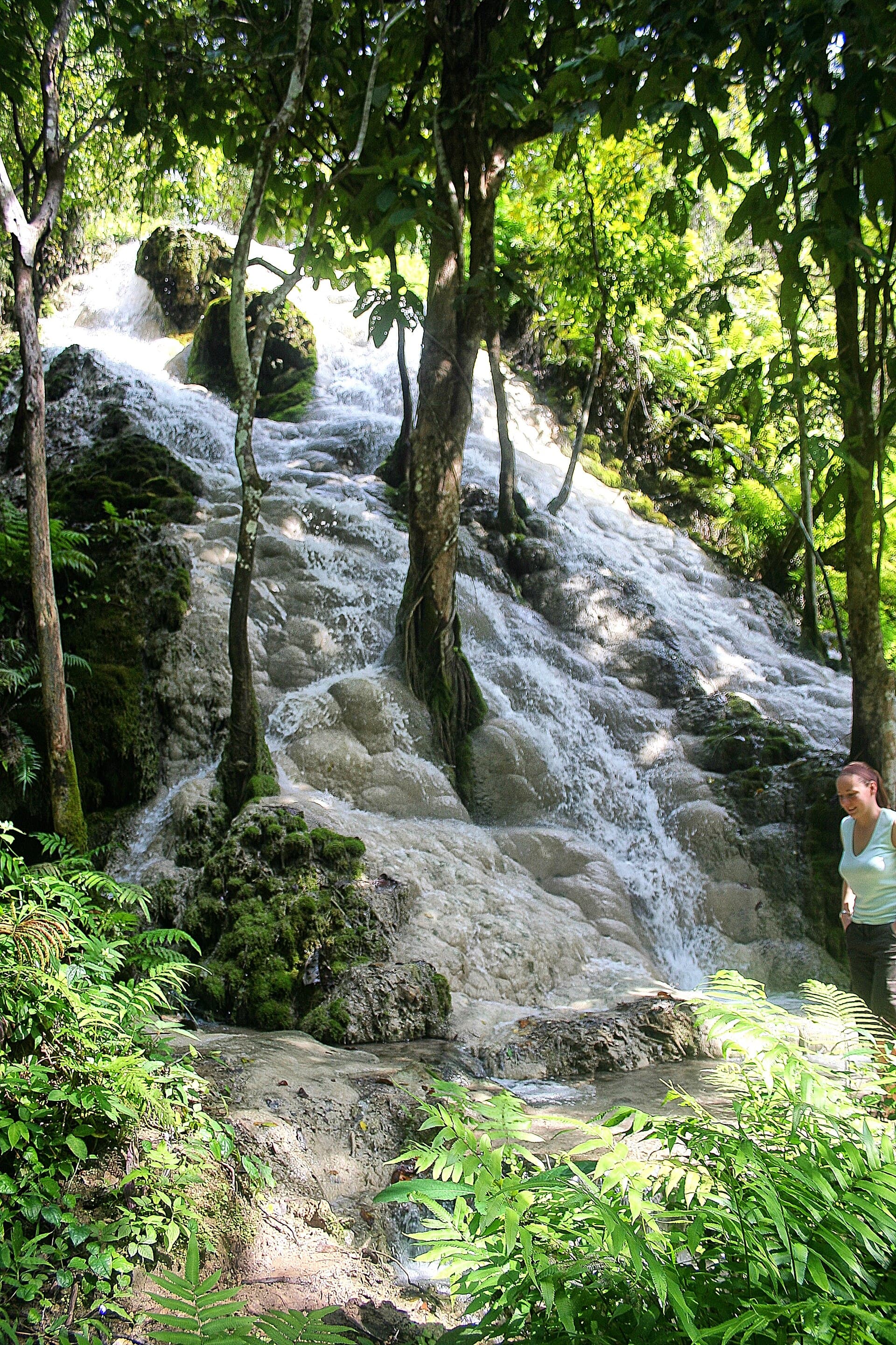 Bua Tong Sticky Waterfall