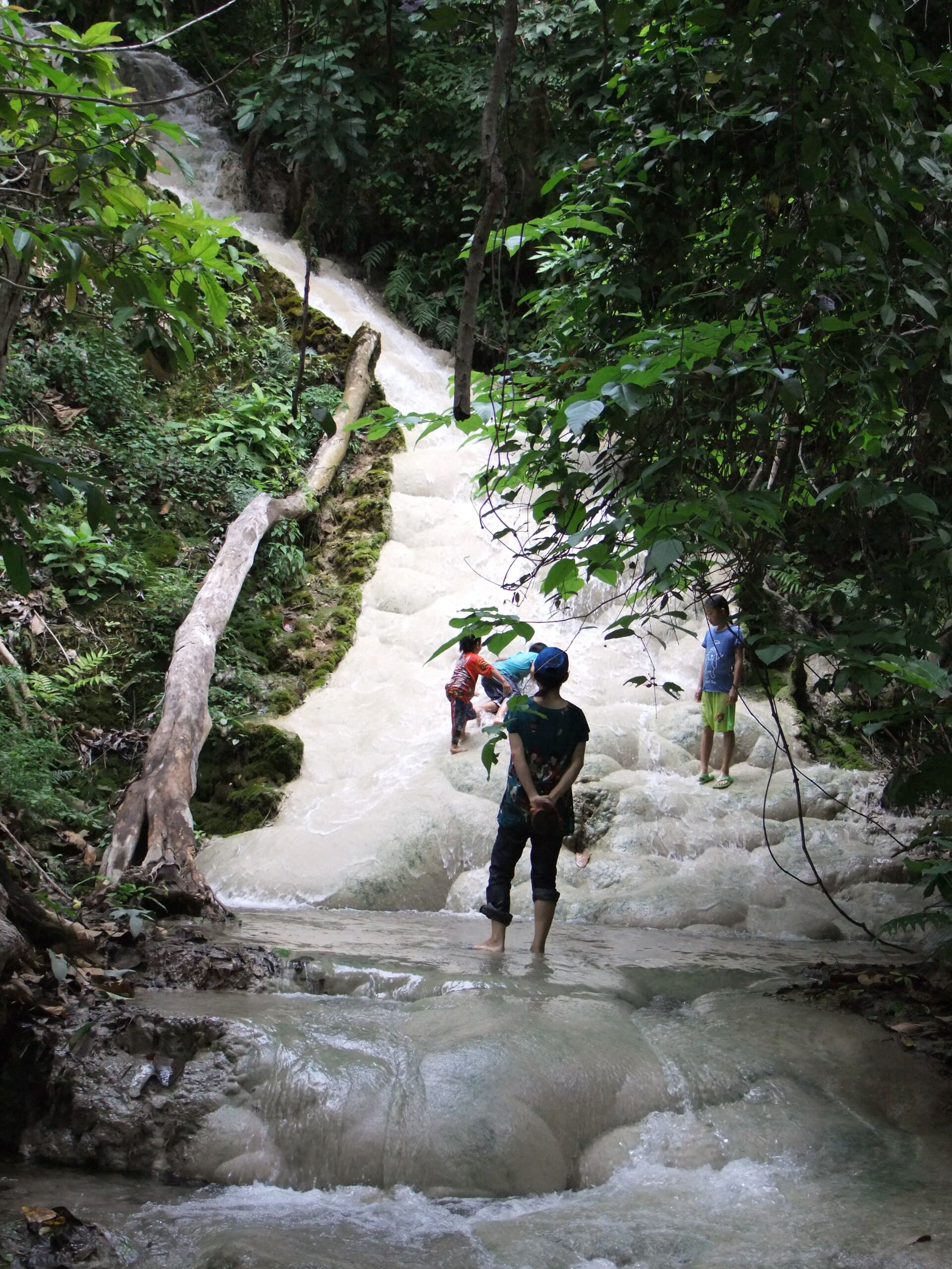 Bua Tong Sticky Waterfall
