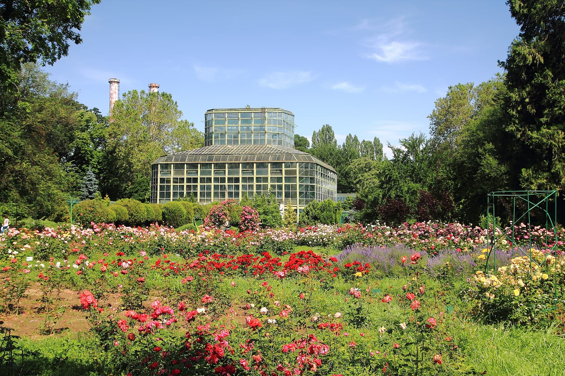 The Botanical Garden, Bucharest