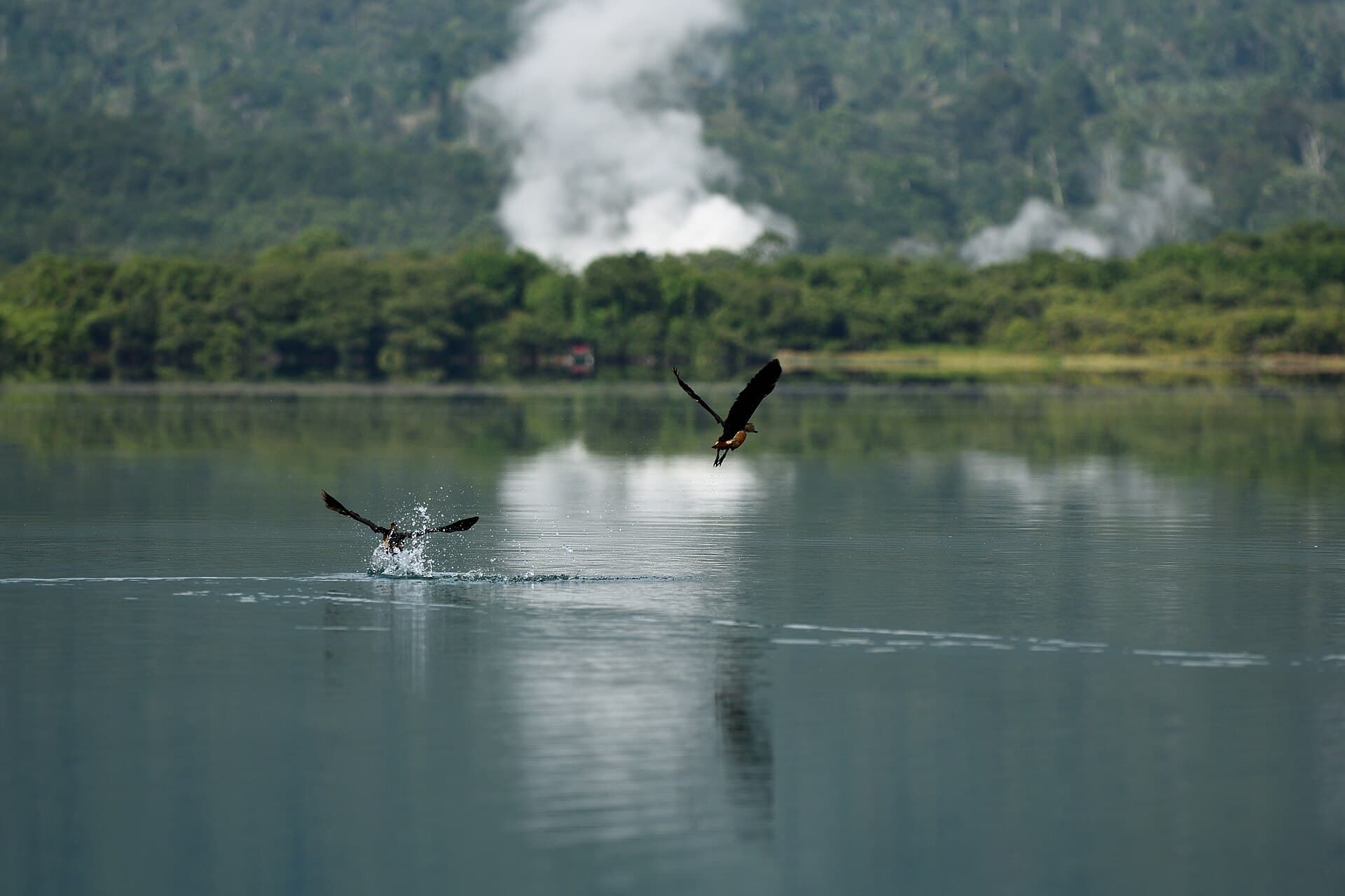Bukit Barisan Selatan National Park, Lake Ranau